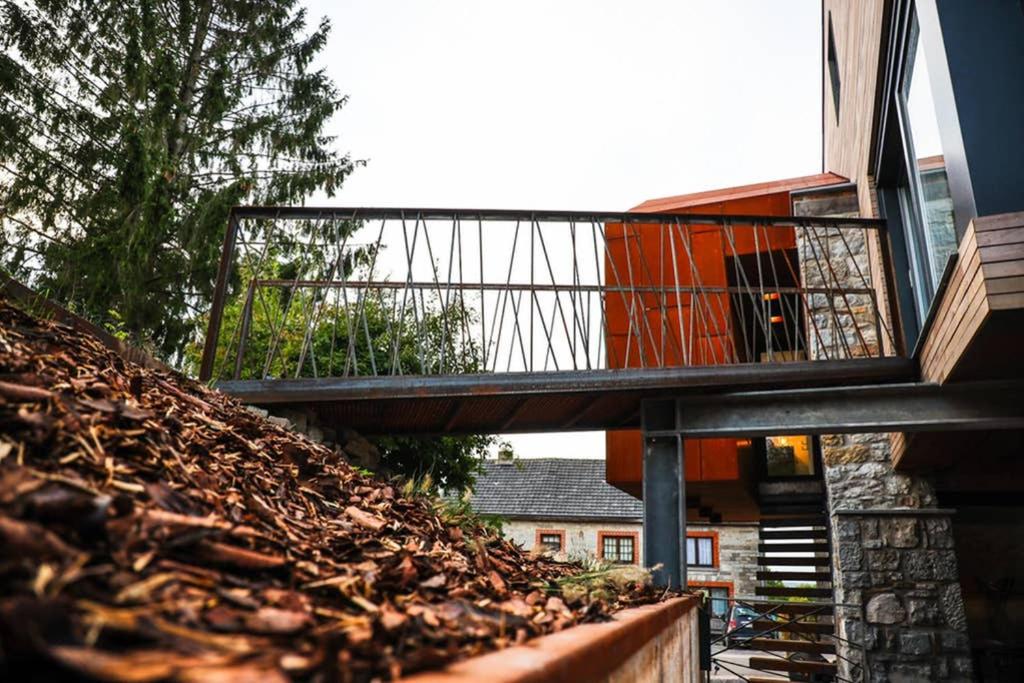 Amazon Corten