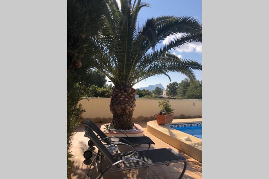 Casa sobre el Mar, a beautiful Oasis 1000m from beach photo 4