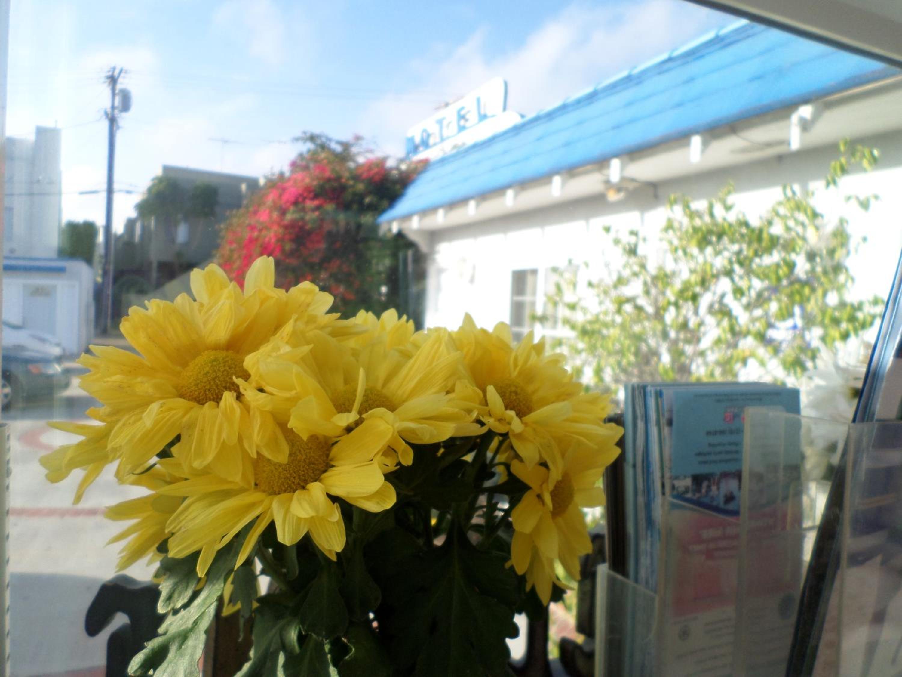 Rest Haven Motel