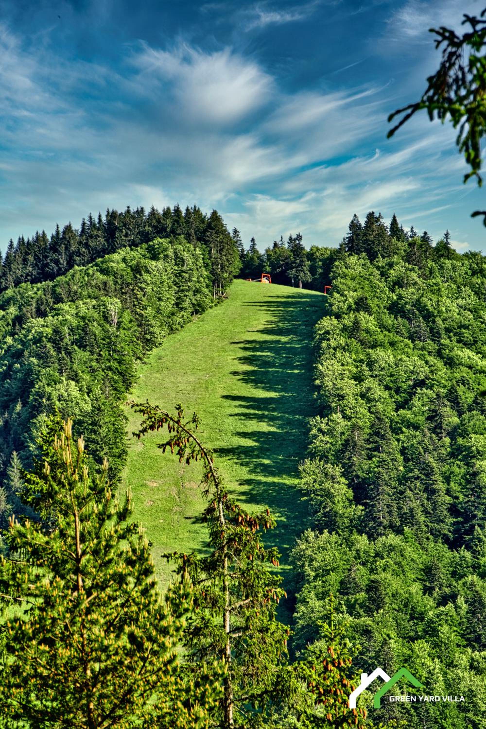 Photo 40