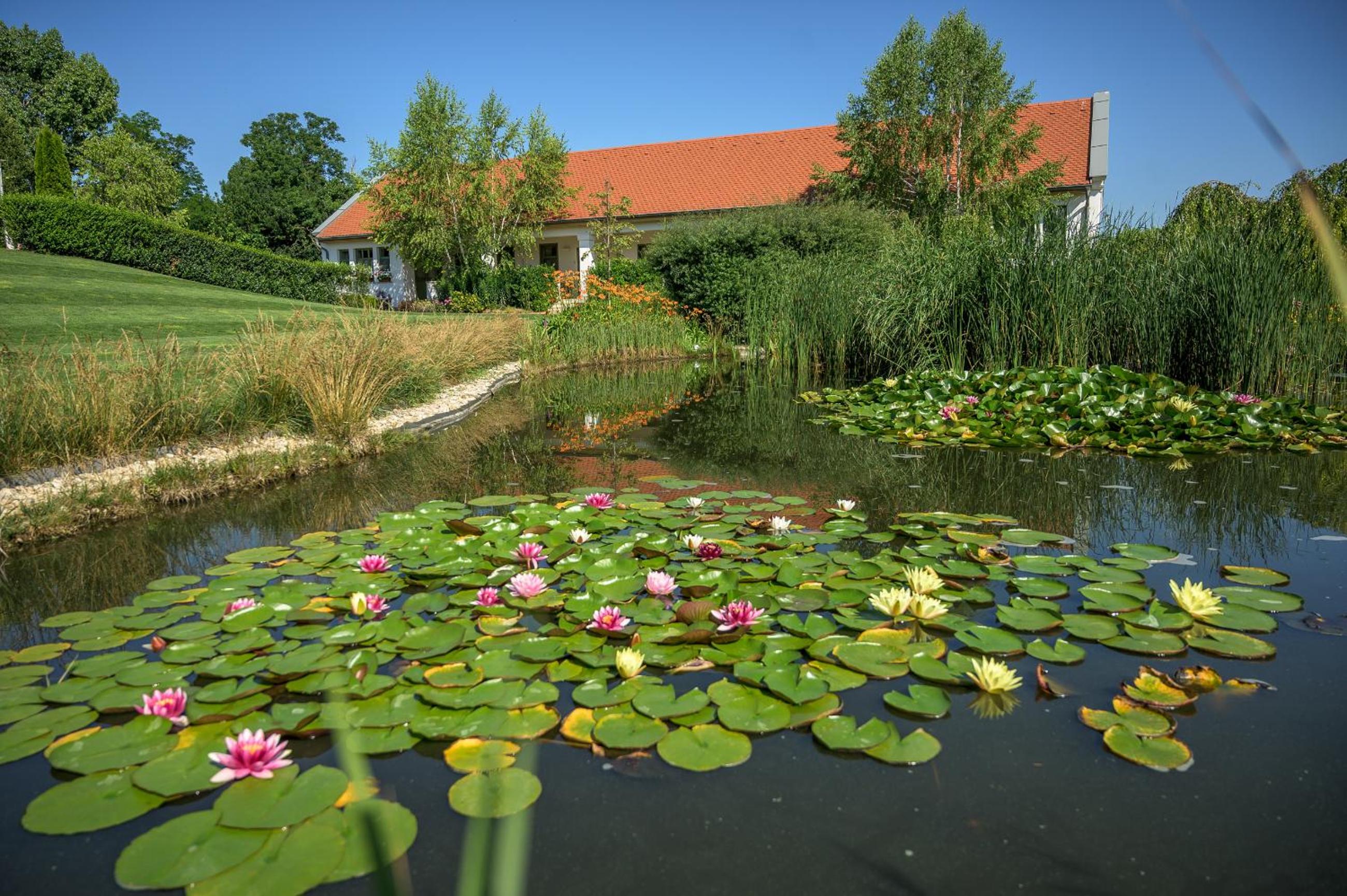 Photo 26