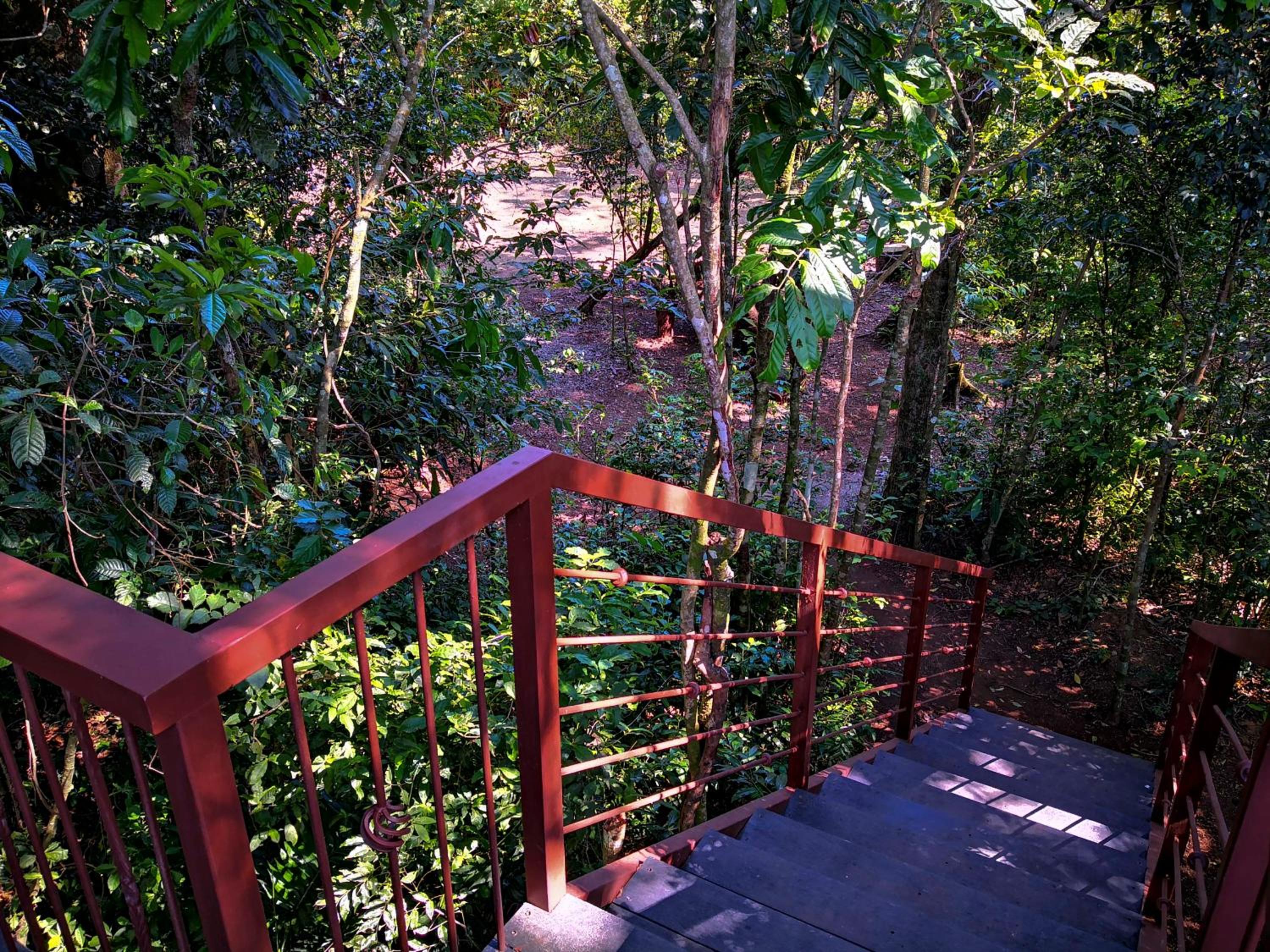 Photo 43