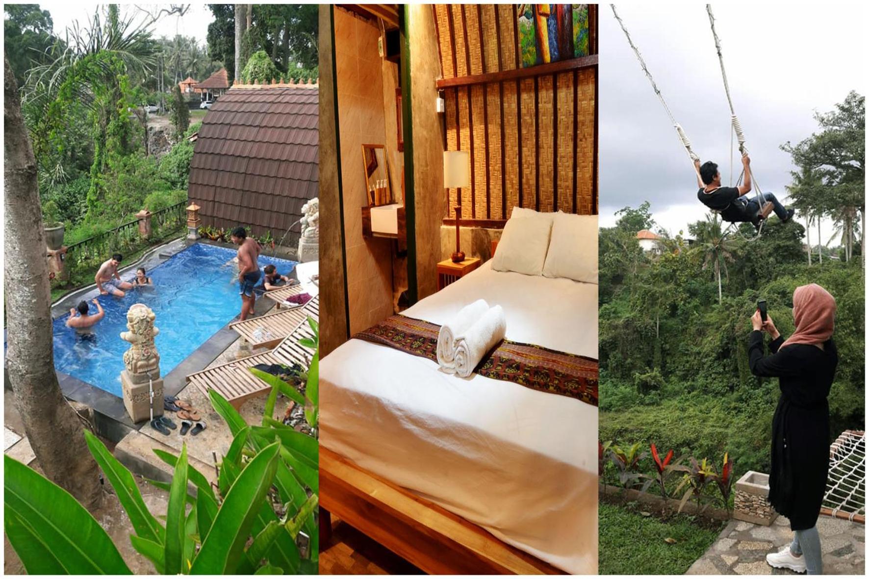 Big Tree House view 2