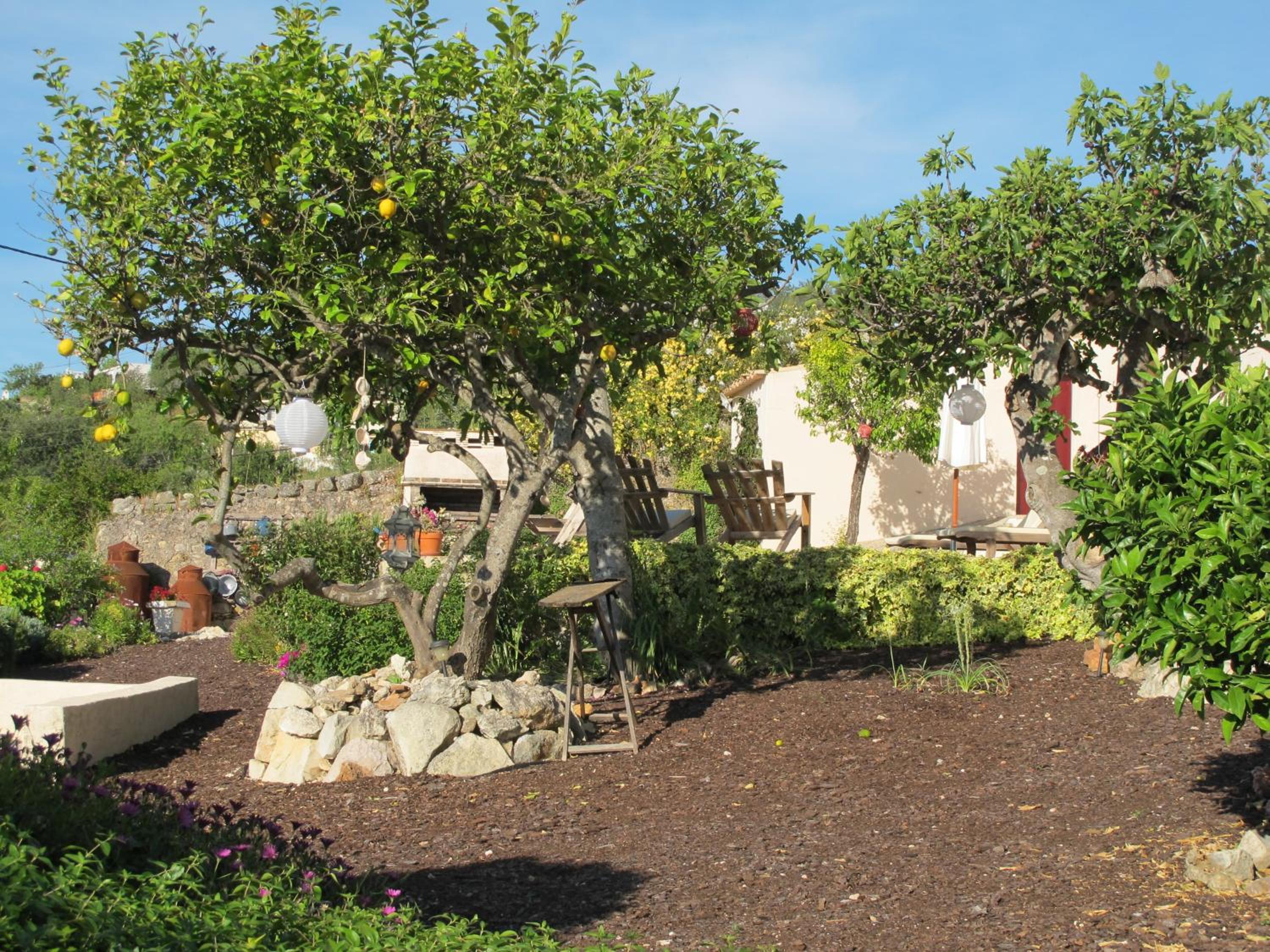 Photo 22