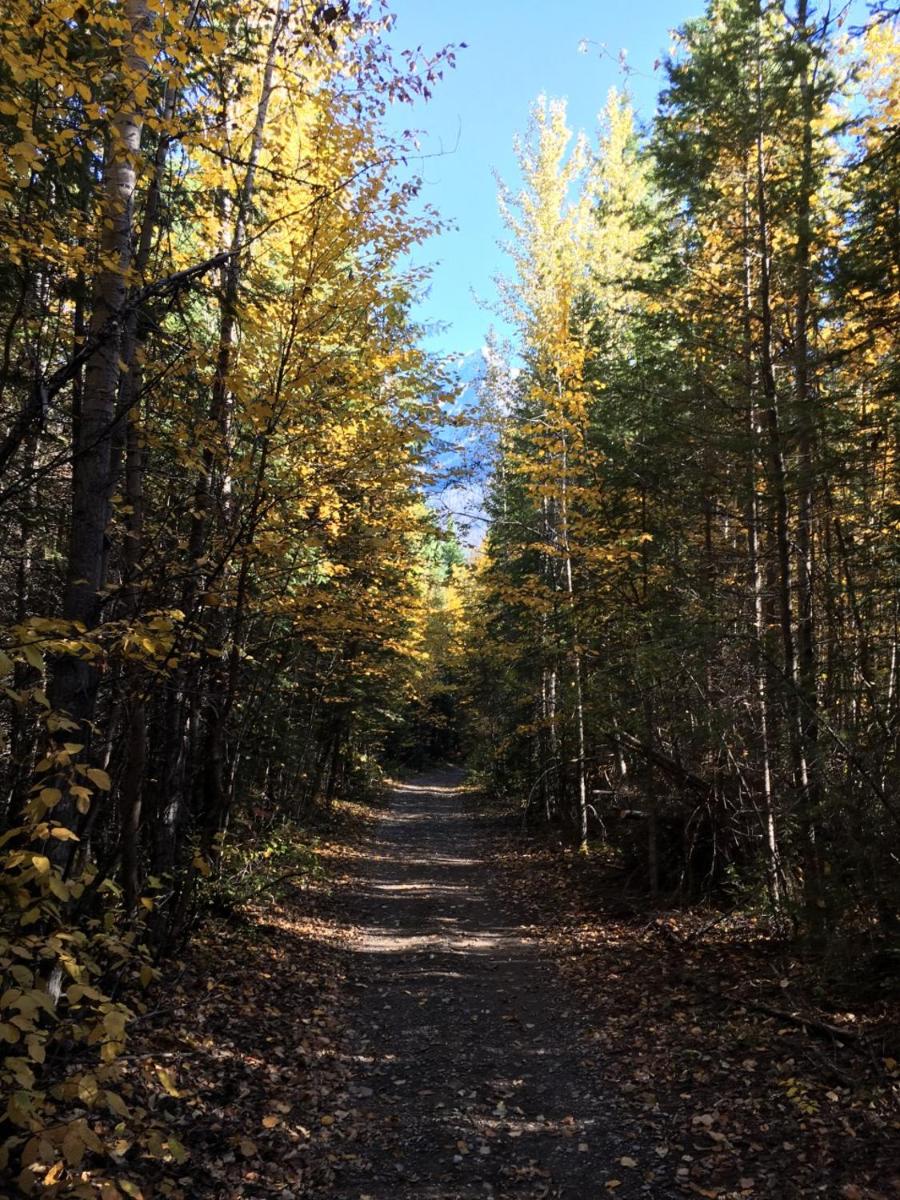 Golden Vacations - Yoho Chalets - Property Image 2