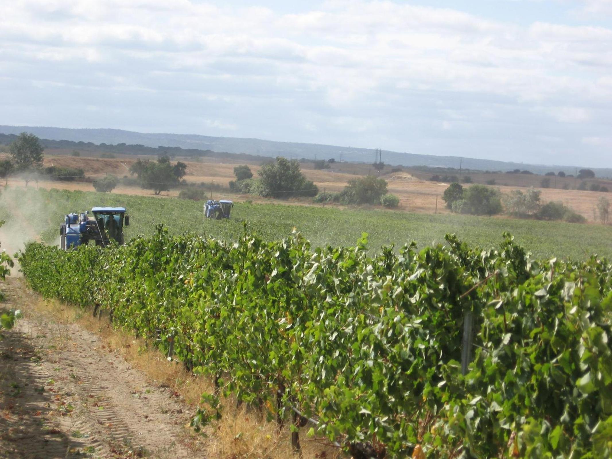 Monte Da Serralheira Agro Turismo