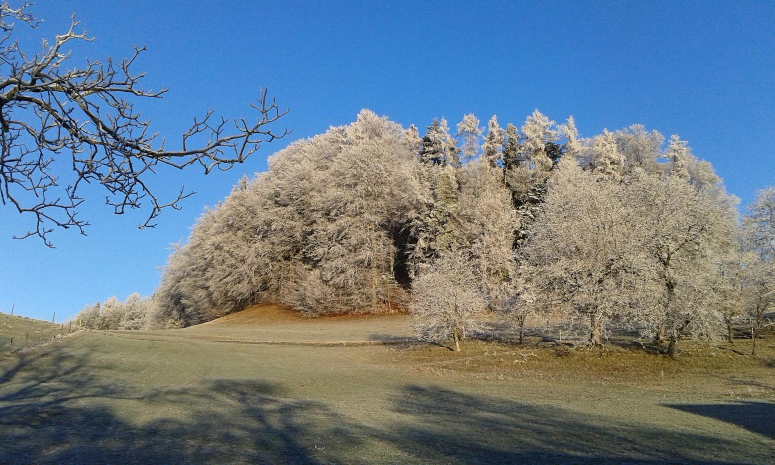 Schoberhof view 5