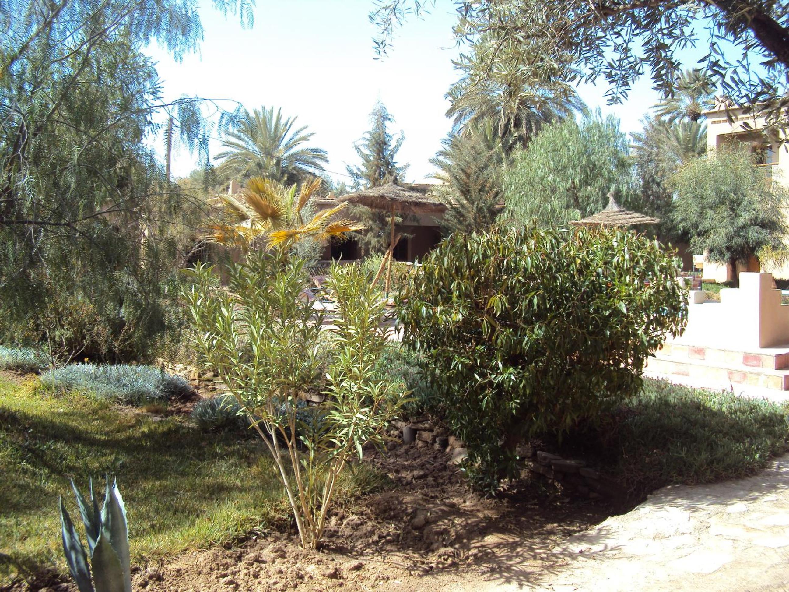 Dar Lorkam