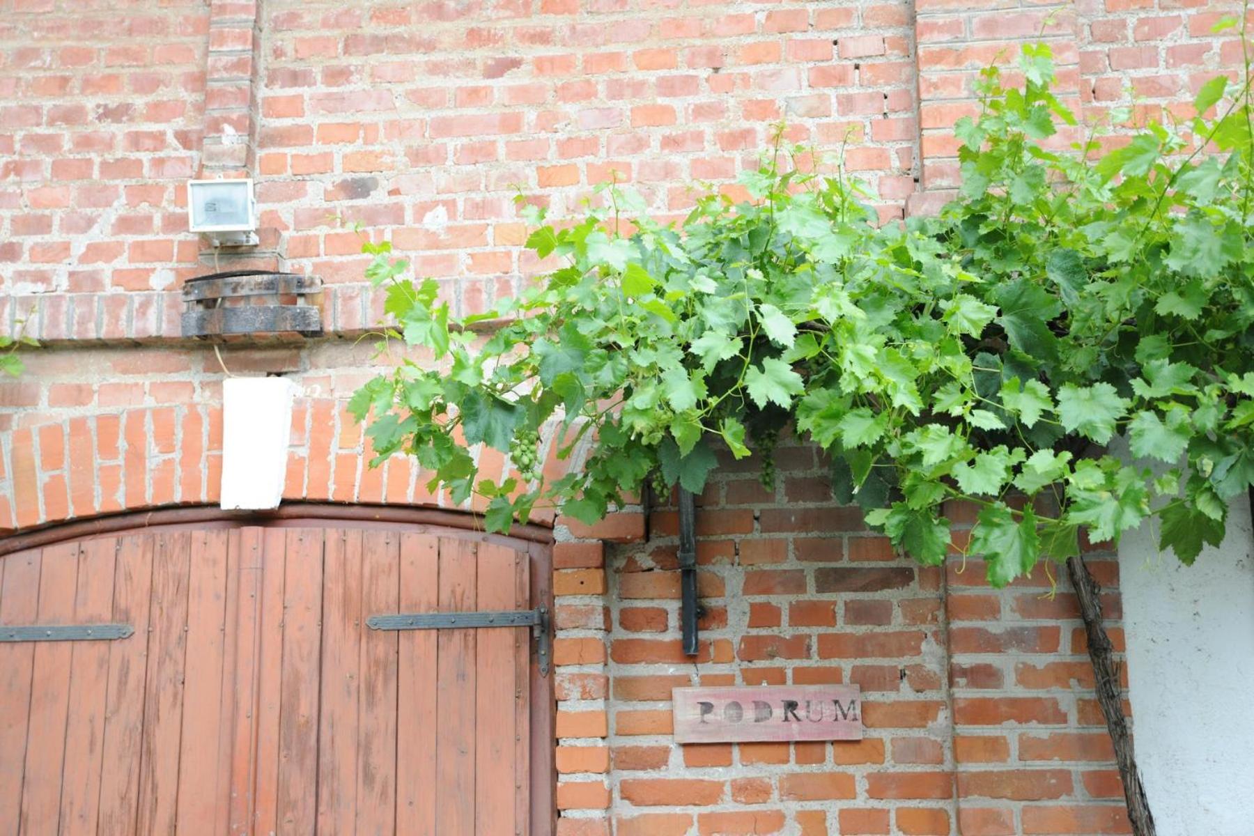 Wellness B&B Winery Sontacchi view 4