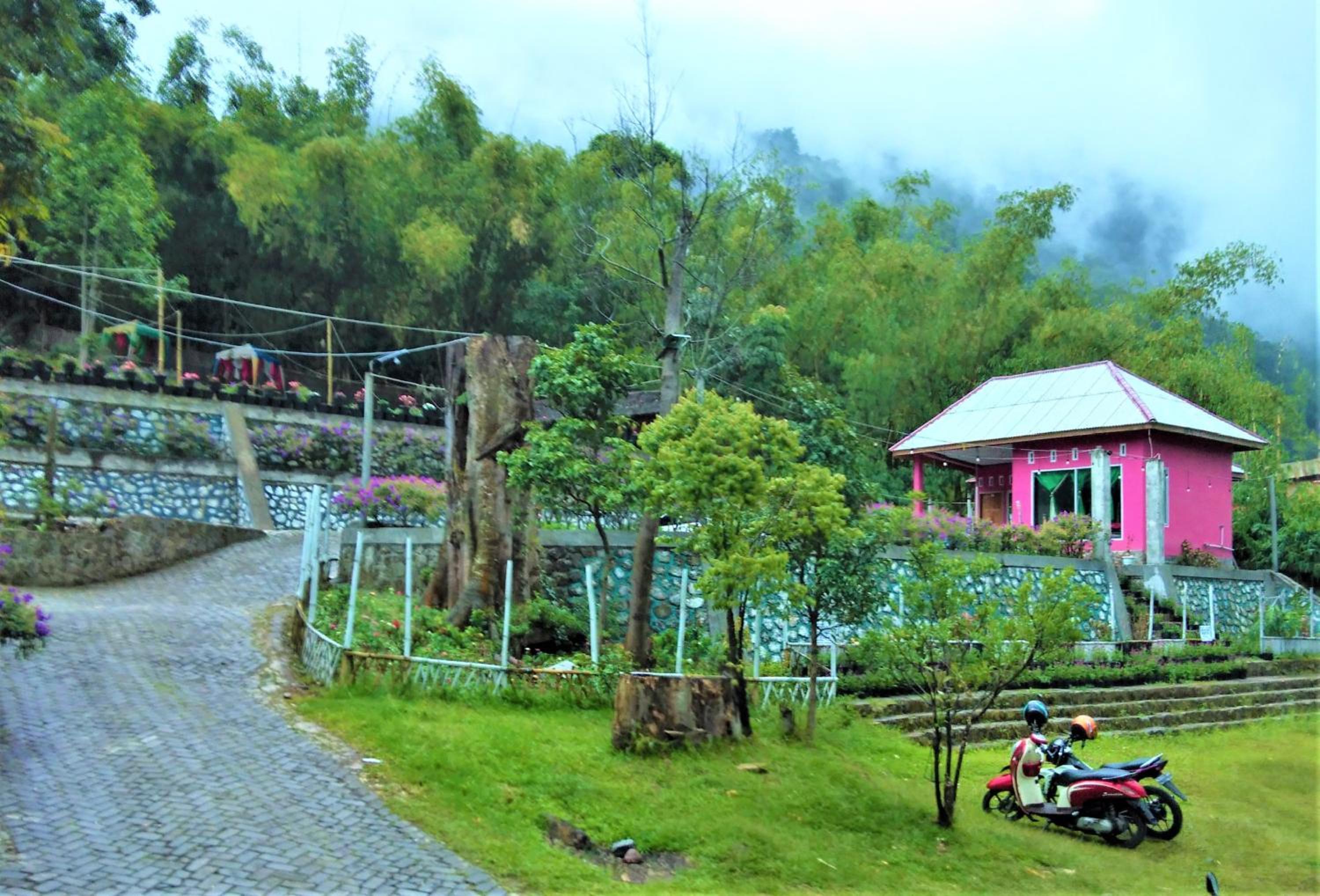 Penginapan Puncak DP view 2