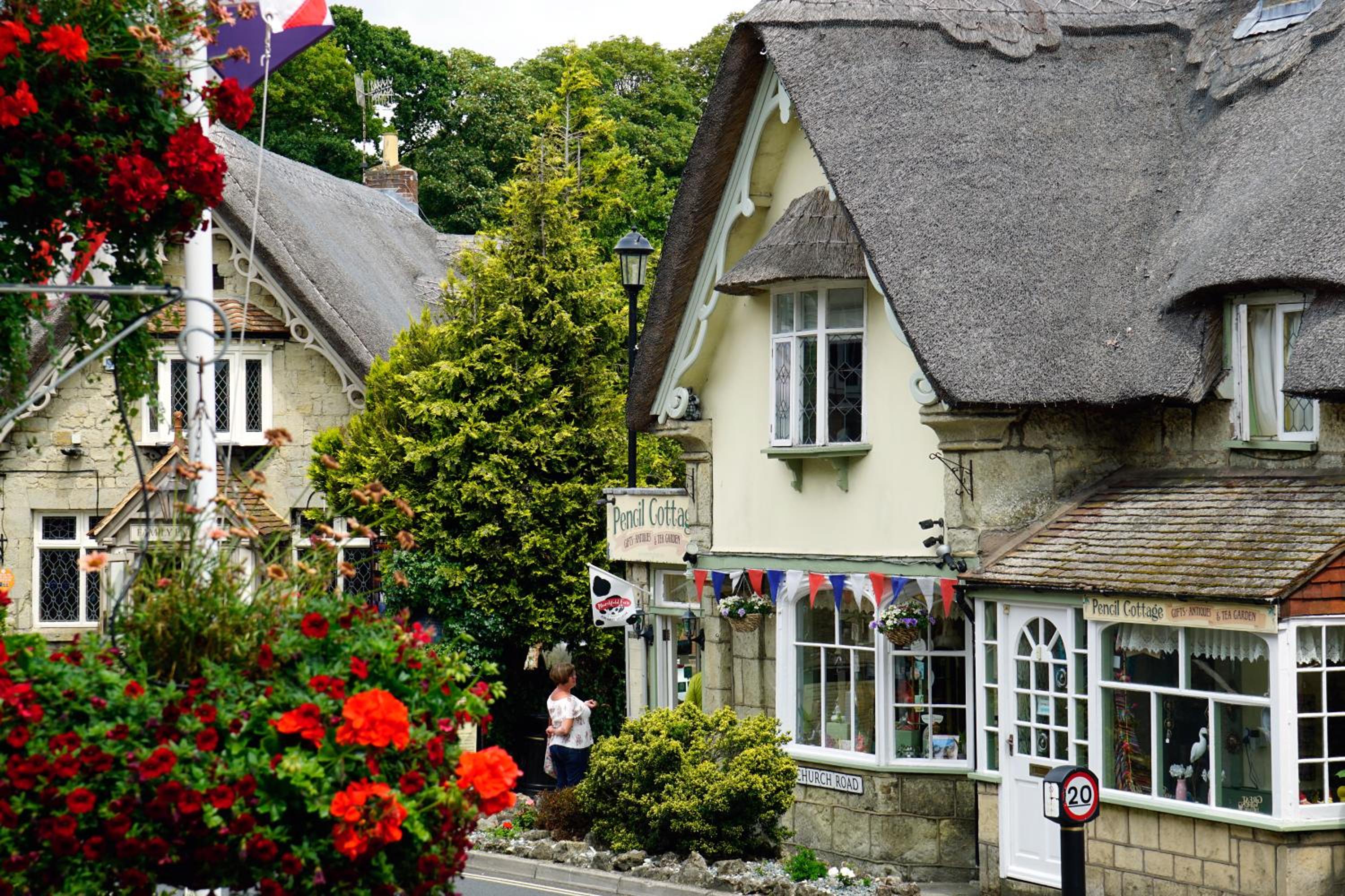 Appley Lodge view 5