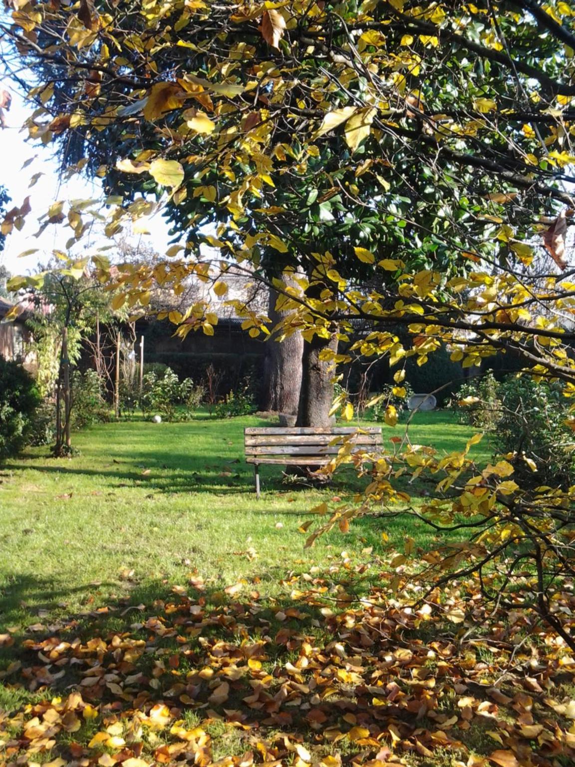 Il Pettirosso B&B