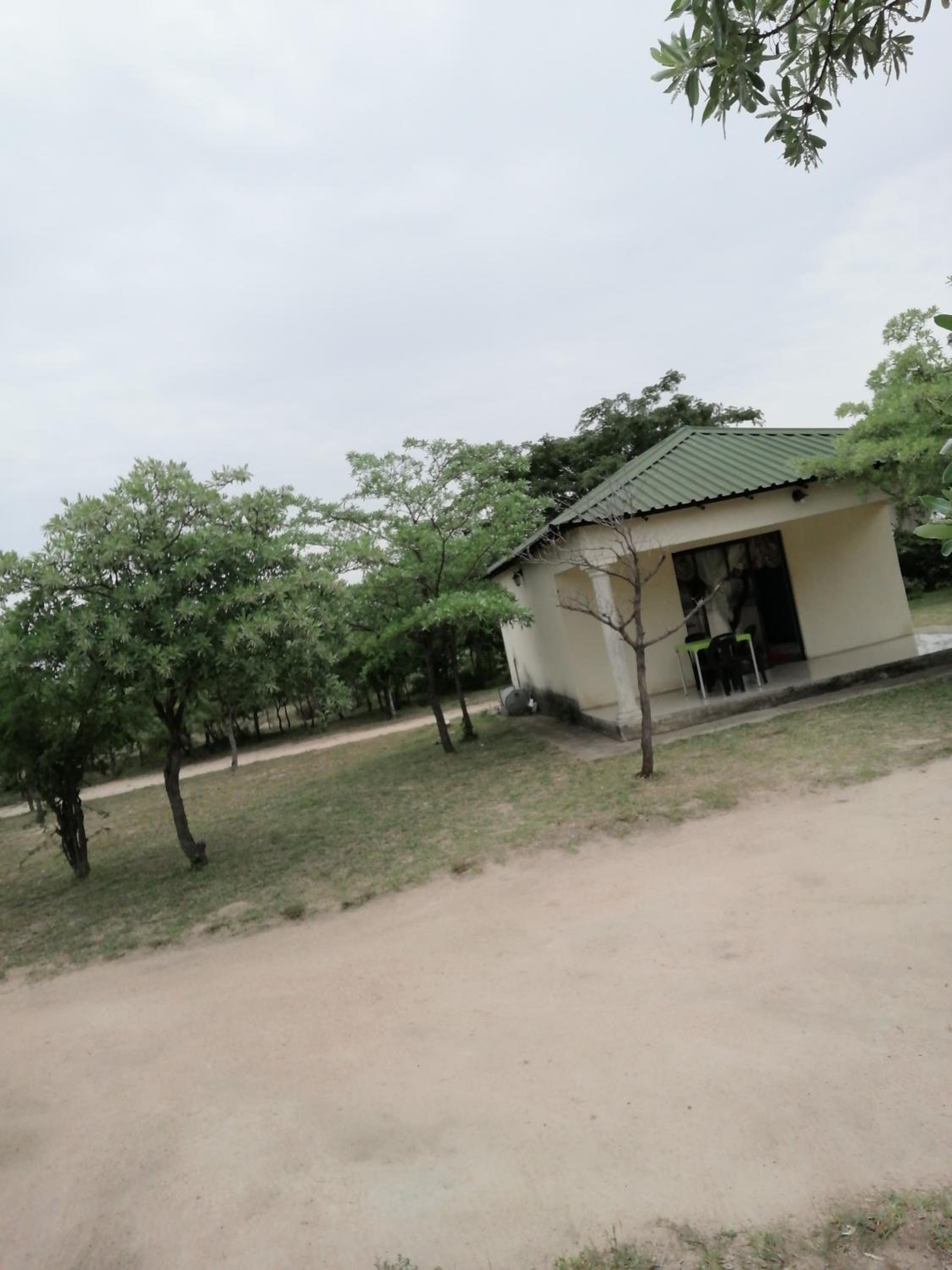 Photo 21