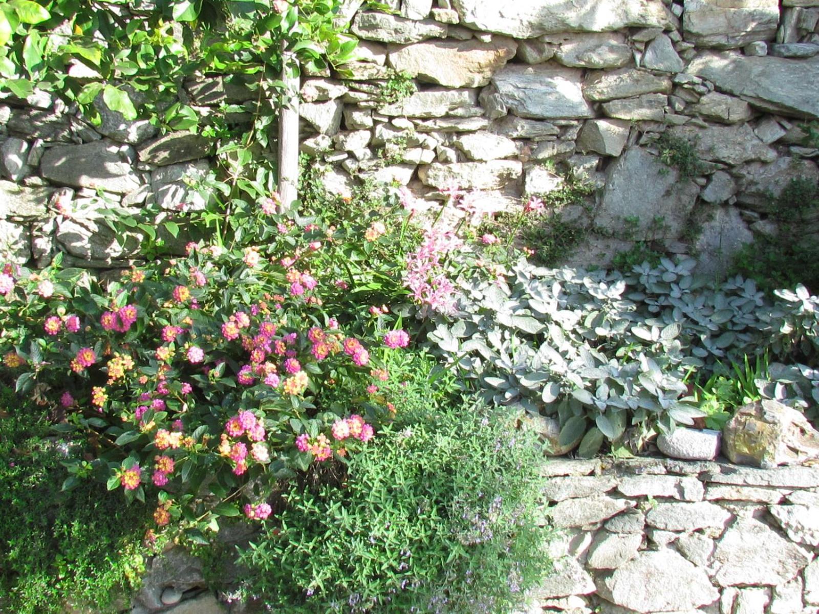 Photo 51