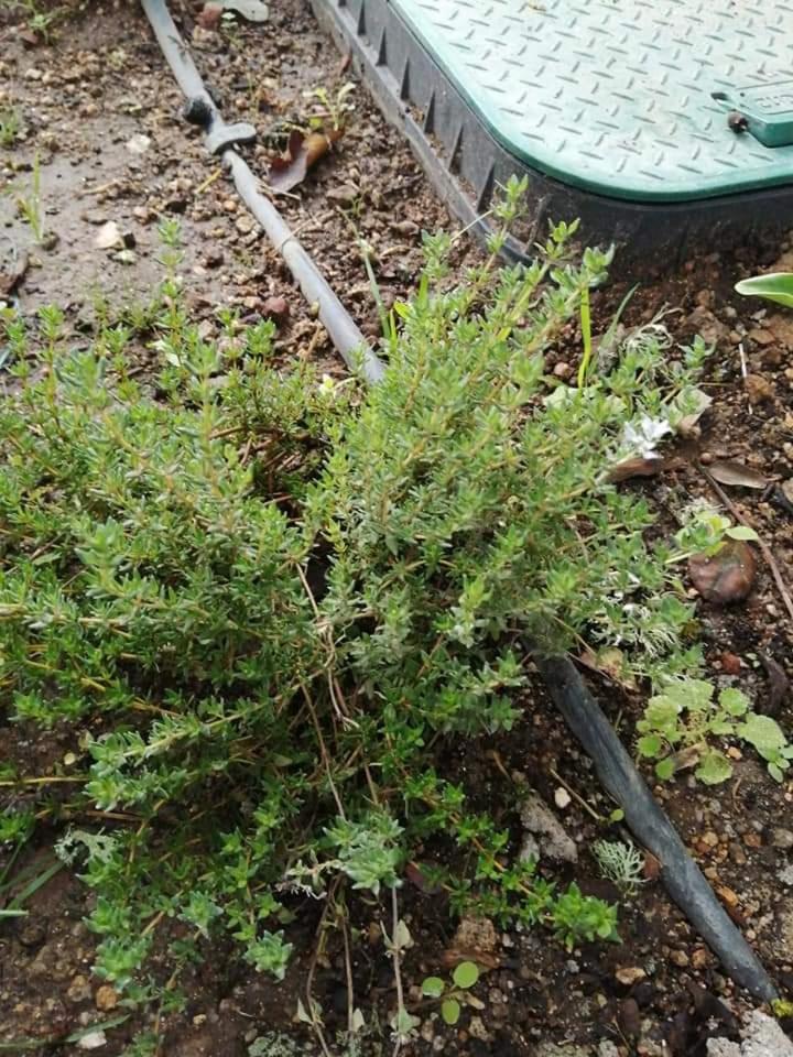 Photo 26