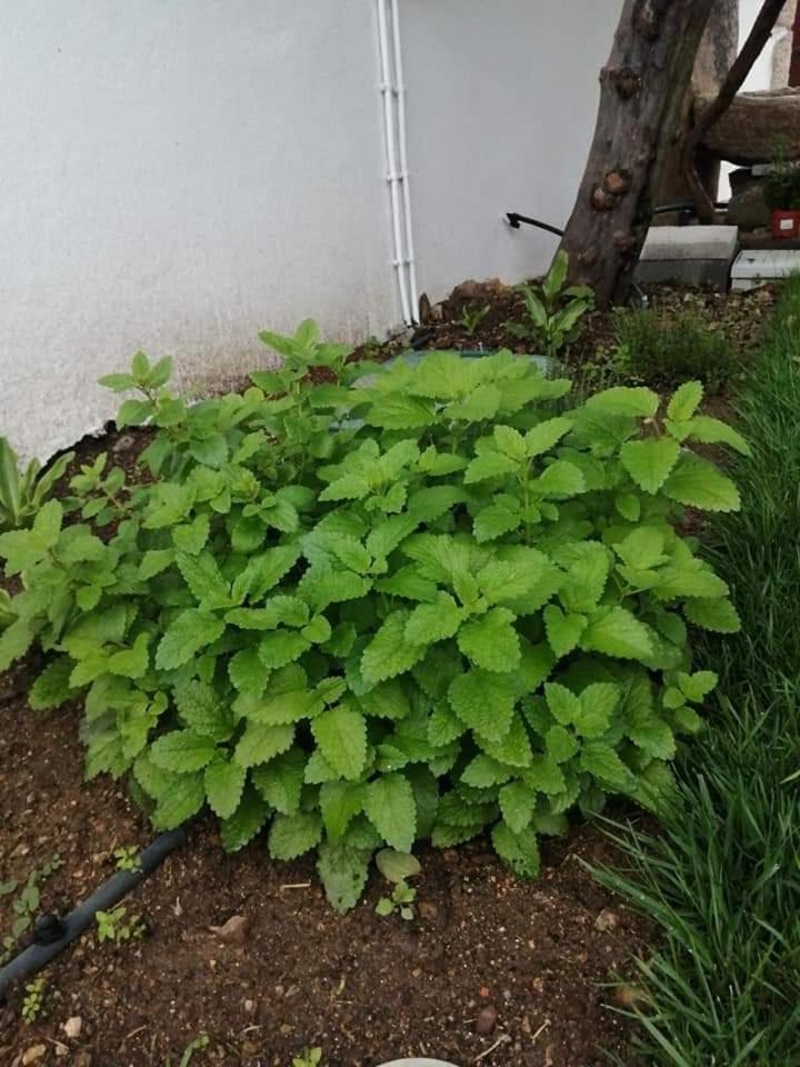 Photo 28