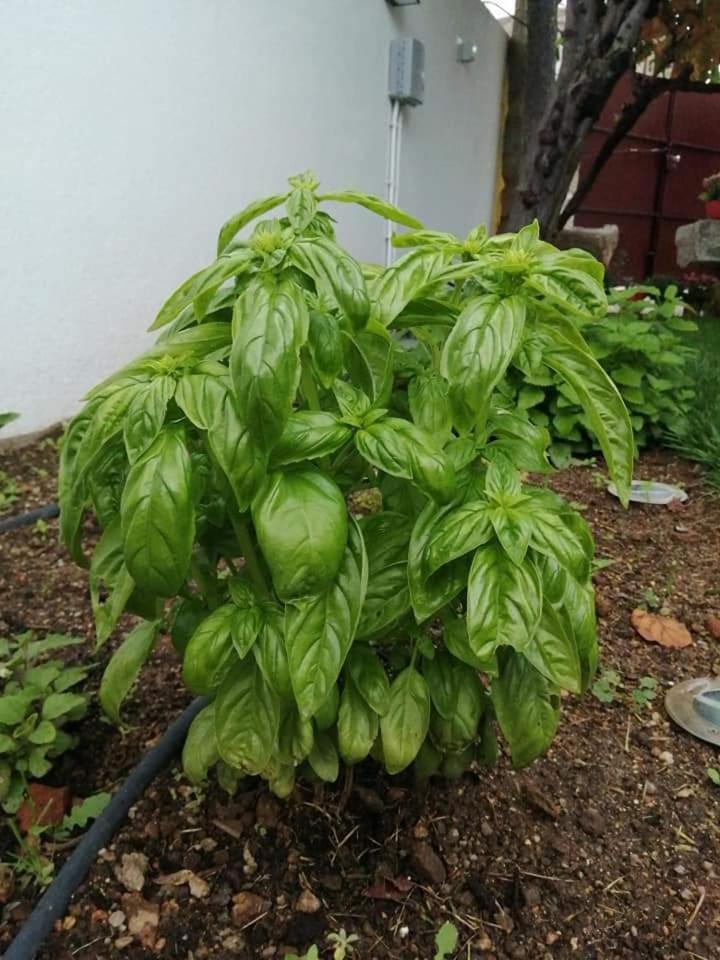 Photo 29