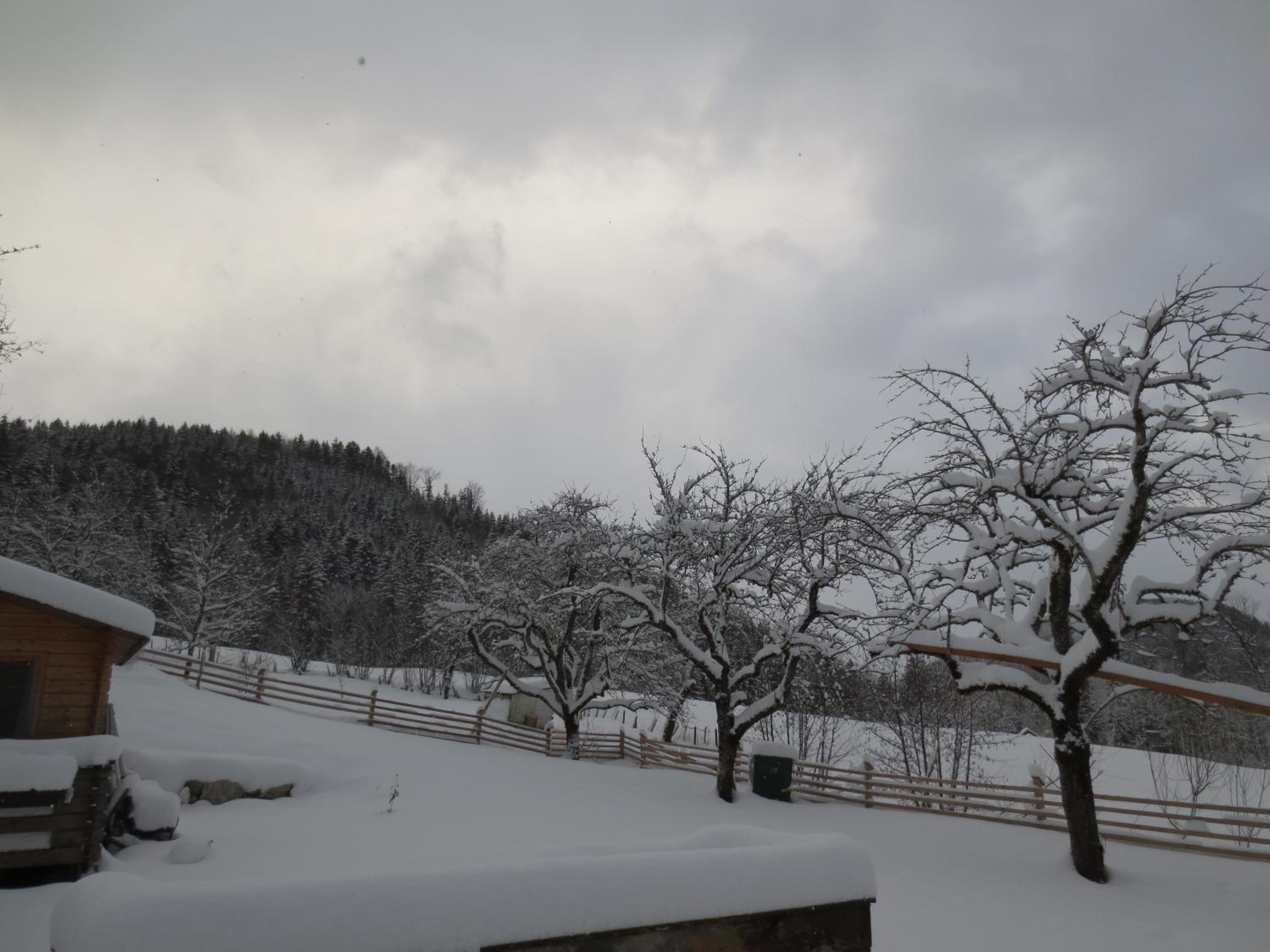 Landhaus Ziegelstadel view 5