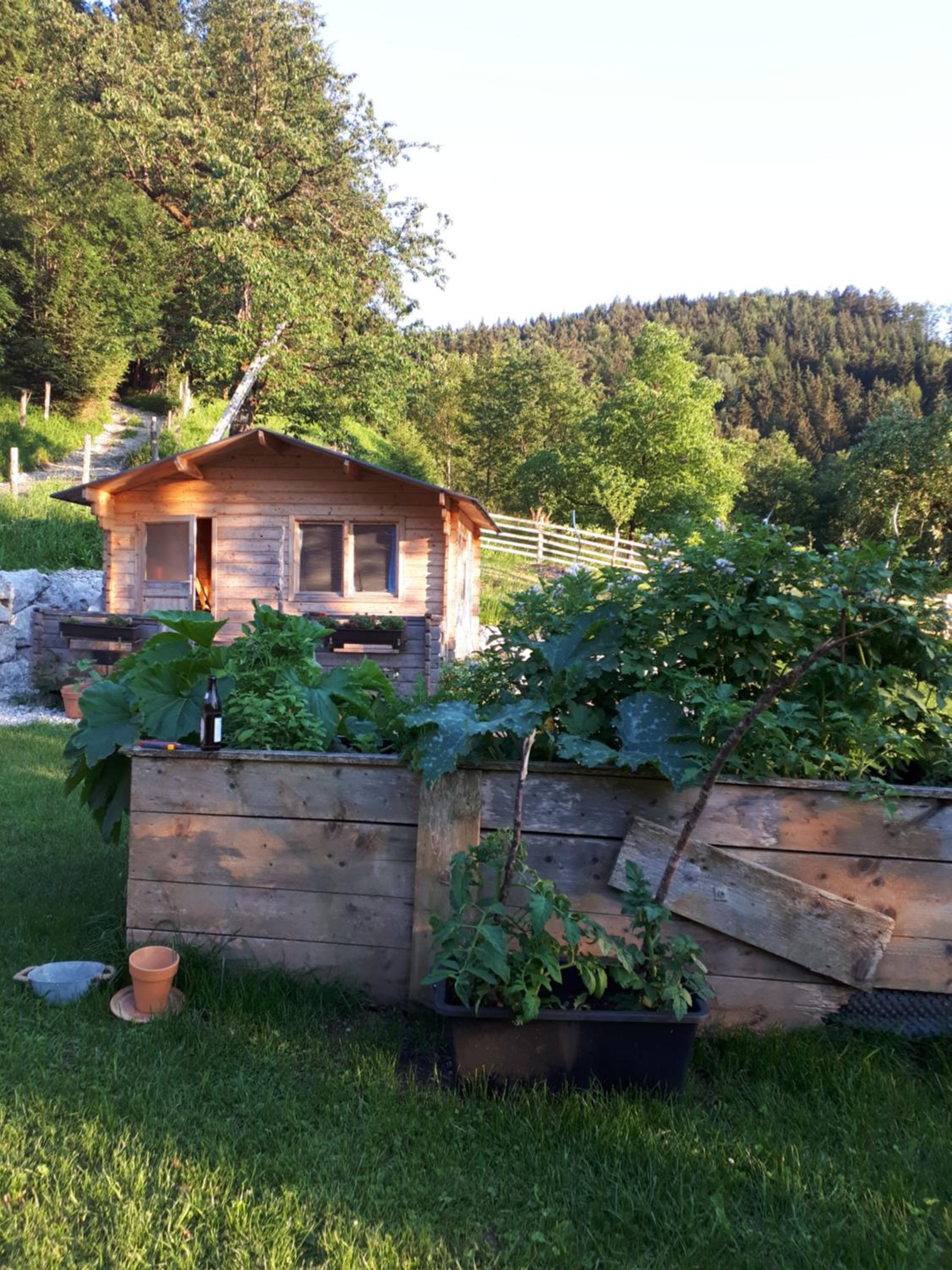Photo 14