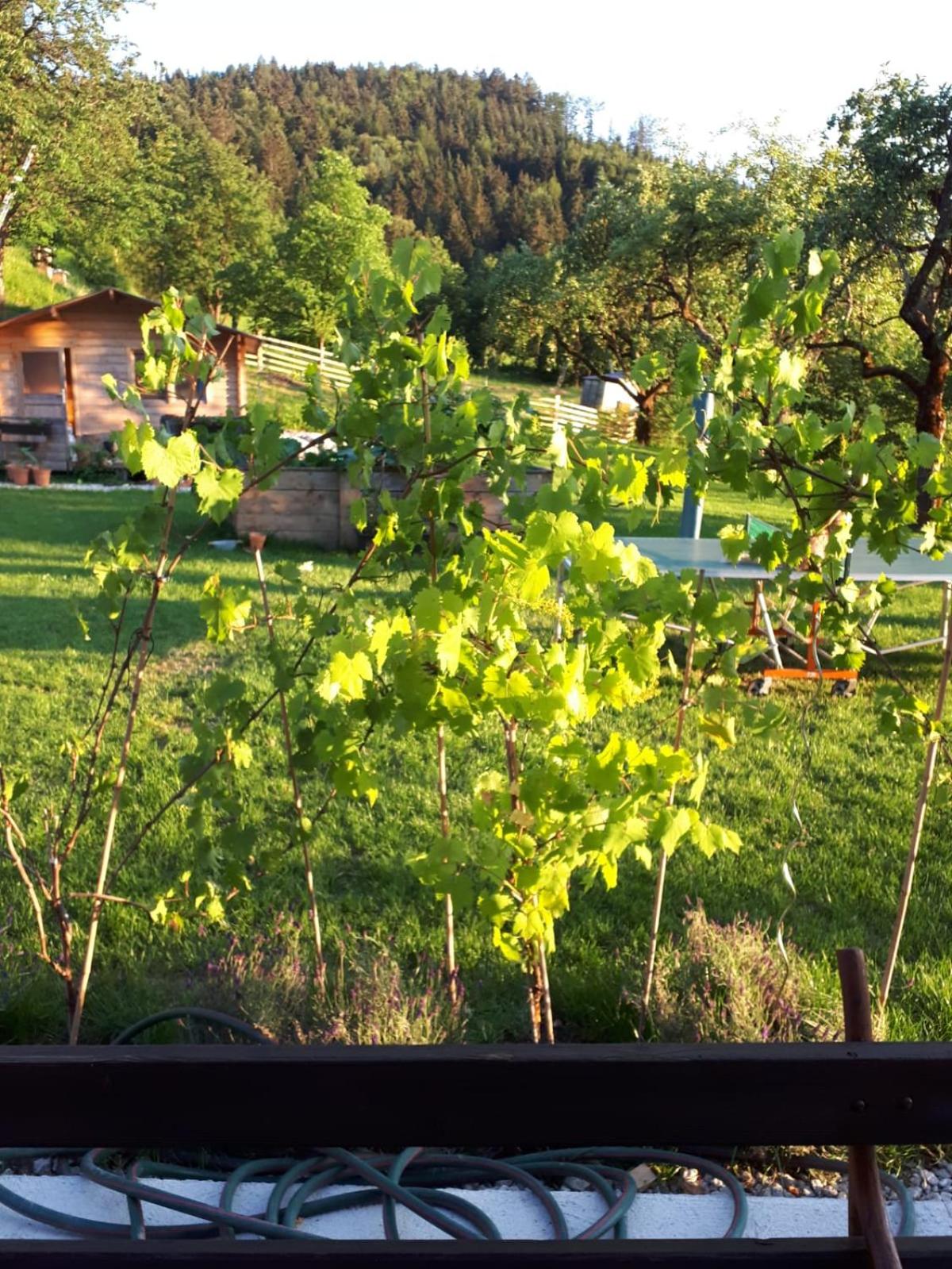 Photo 23