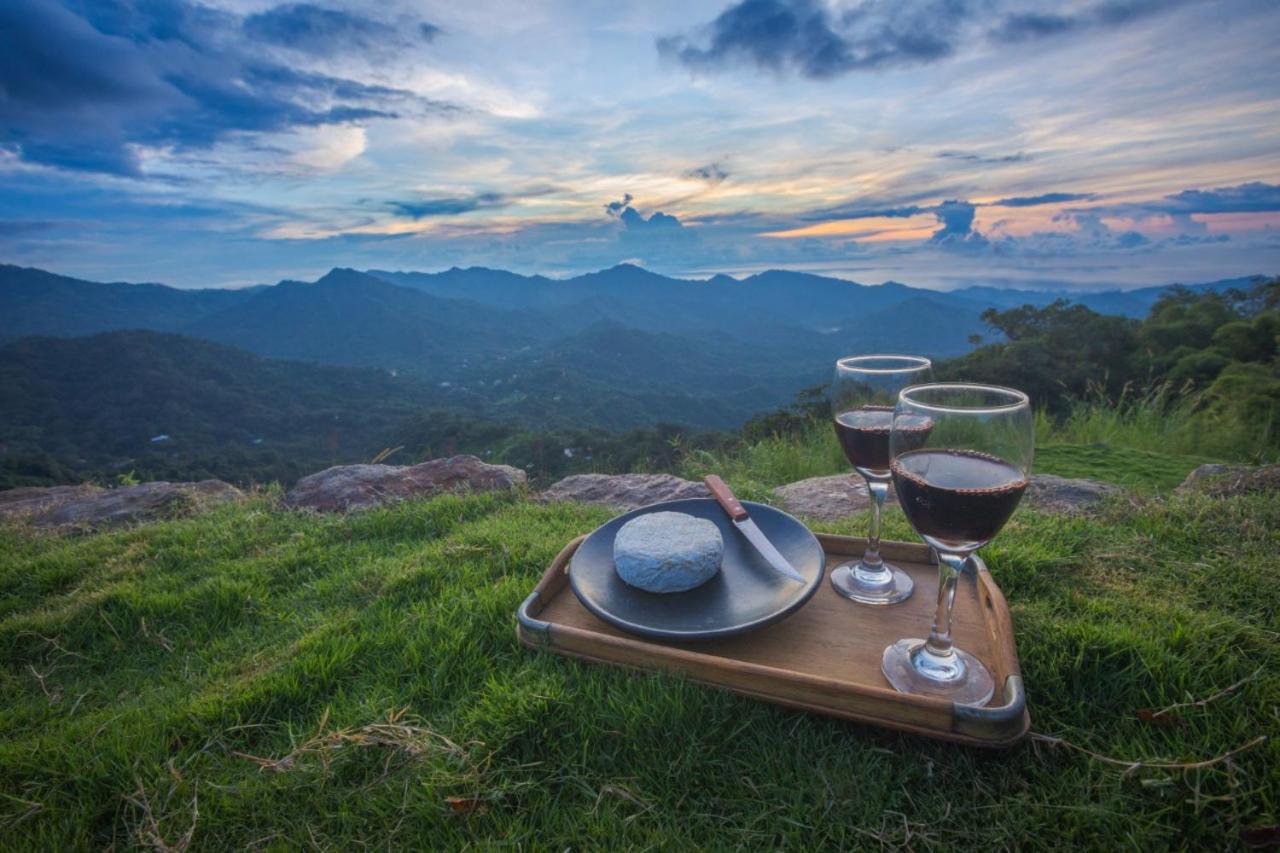 Mundo Nuevo ECO LODGE