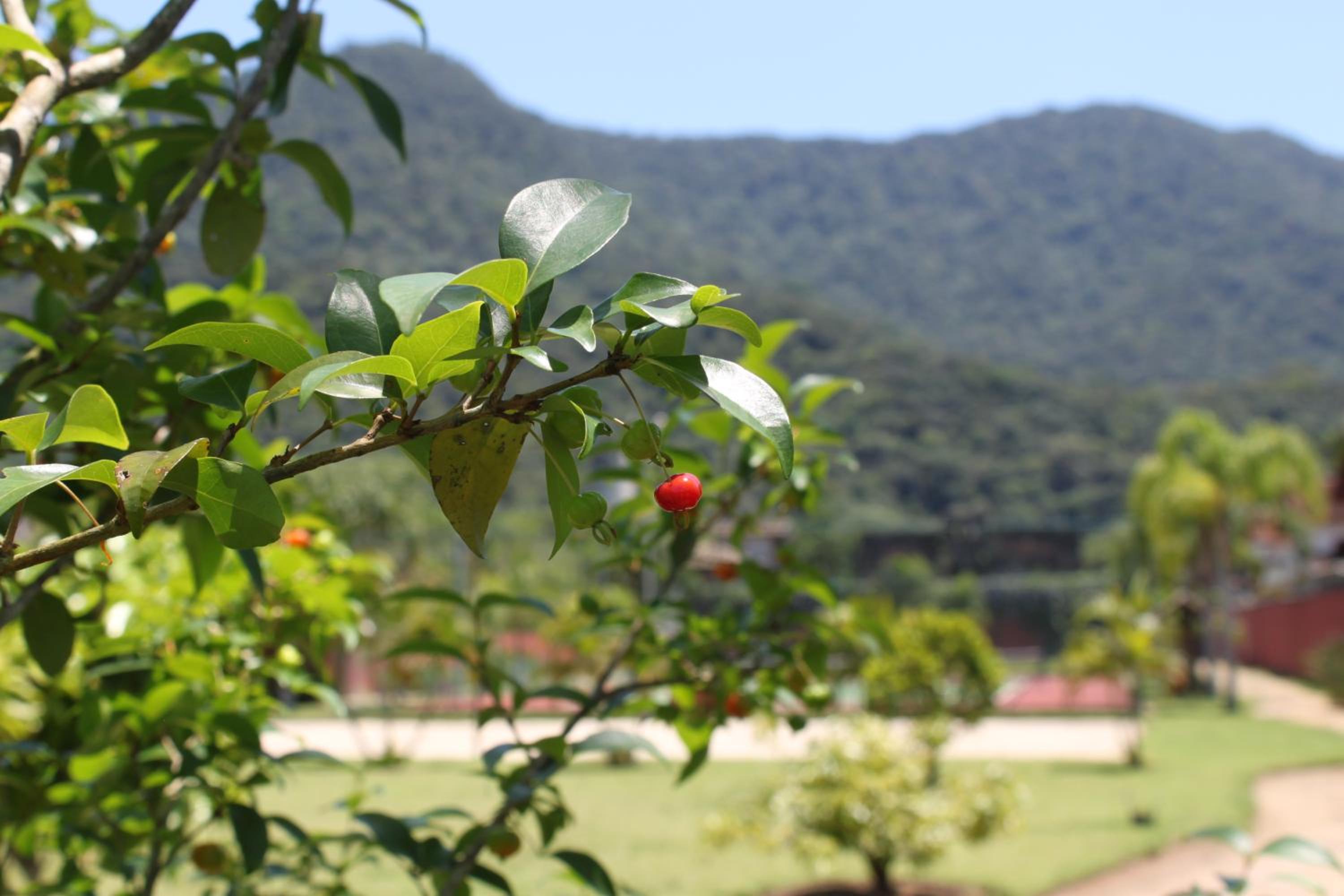 Excelente Condomínio em Maresias a 50mts da Praia