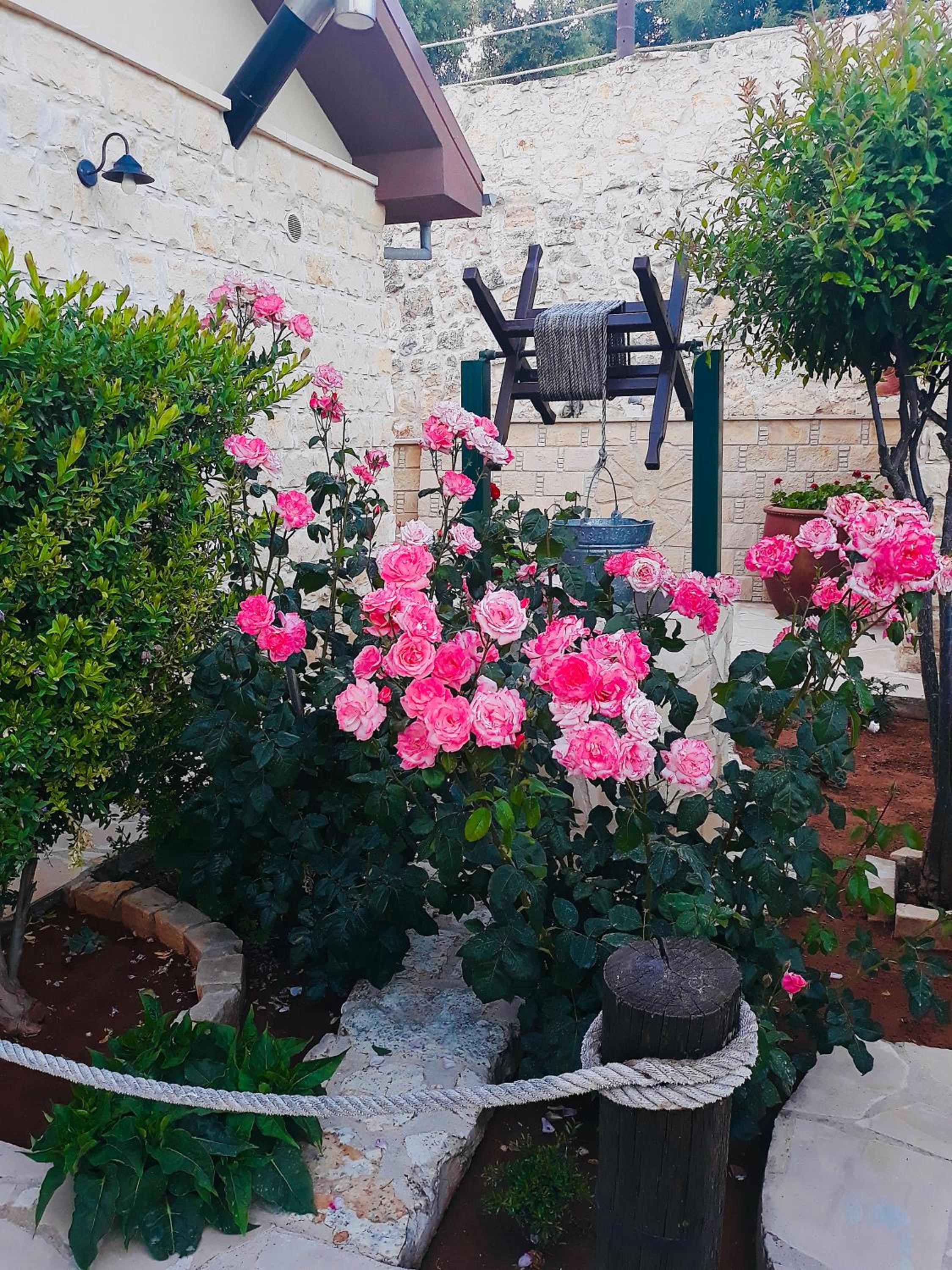 Lofou Traditional House