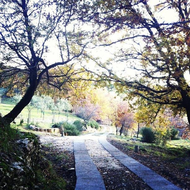 Agriturismo Podere Costarella