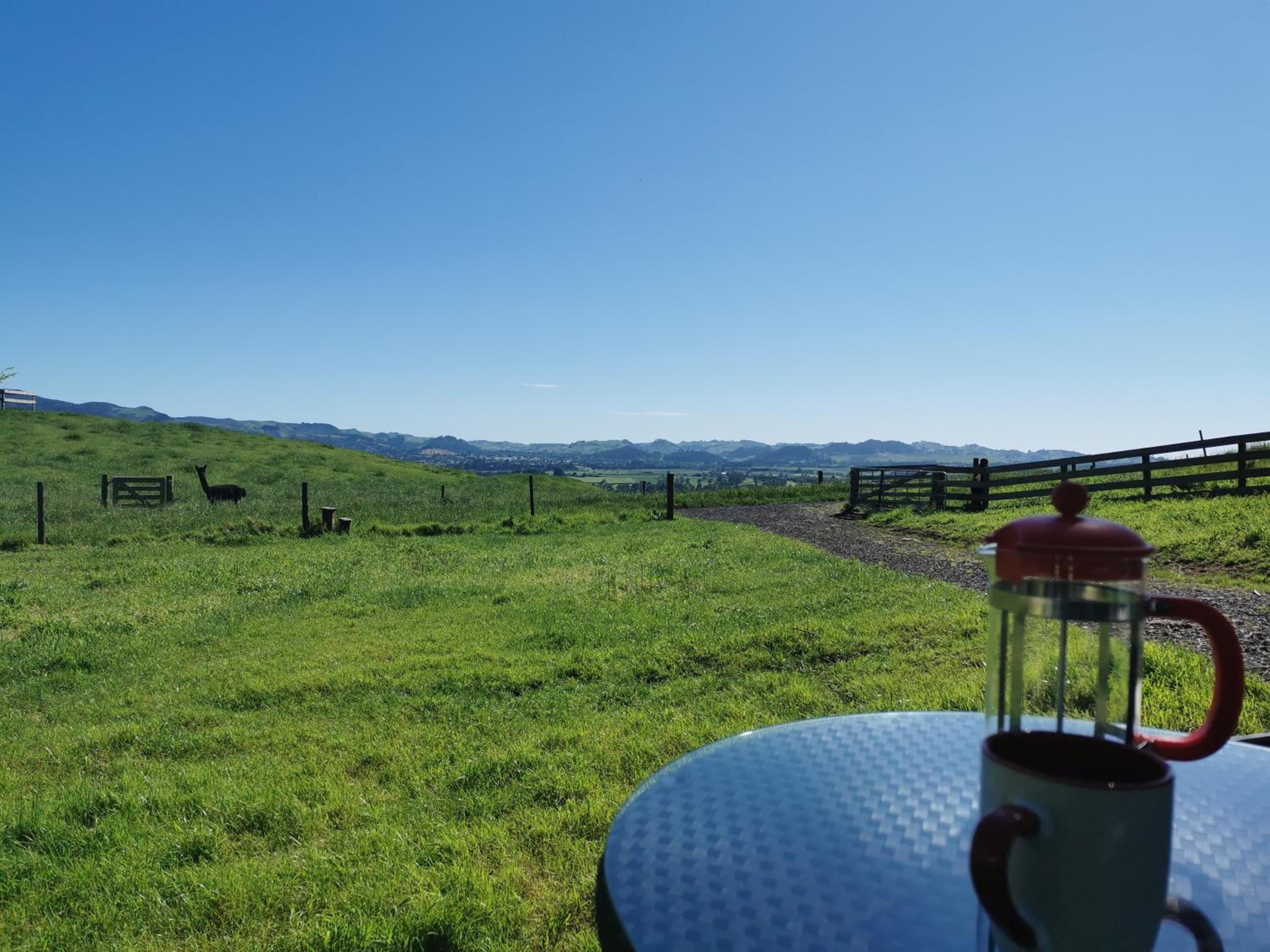 Waihi Gold Alpacas 3 or 4 people view 5