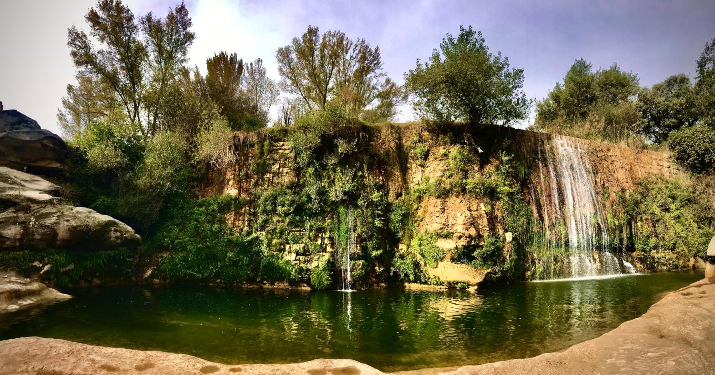 Photo 20