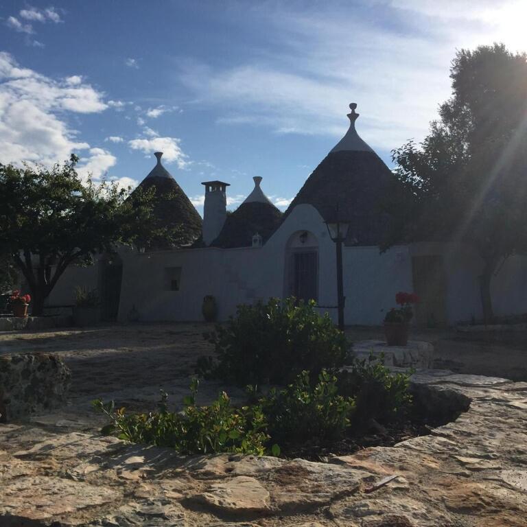Photo 29