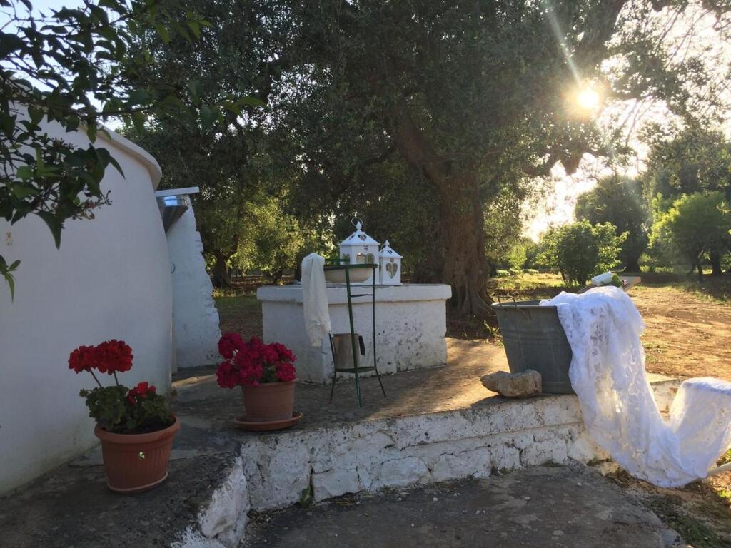 Photo 28