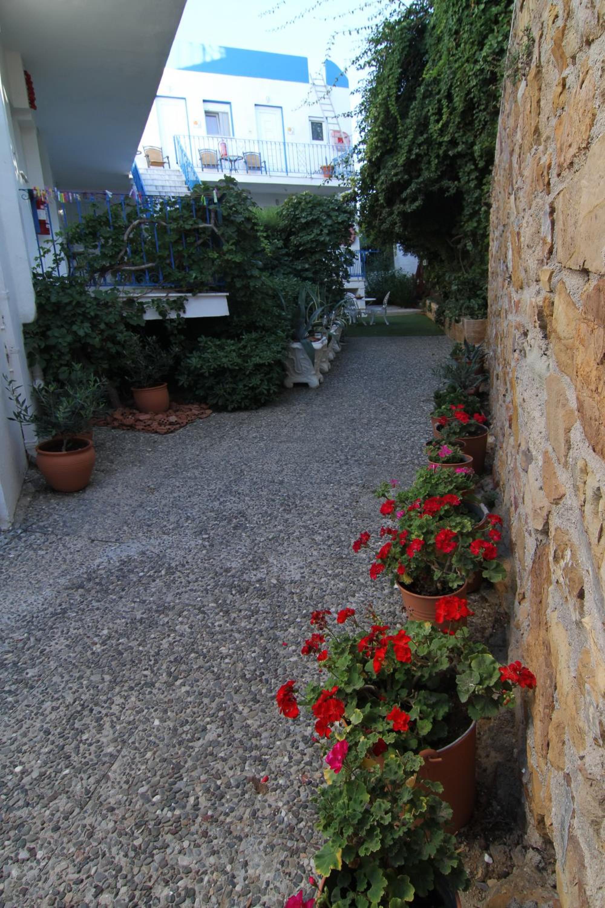 Photo 14