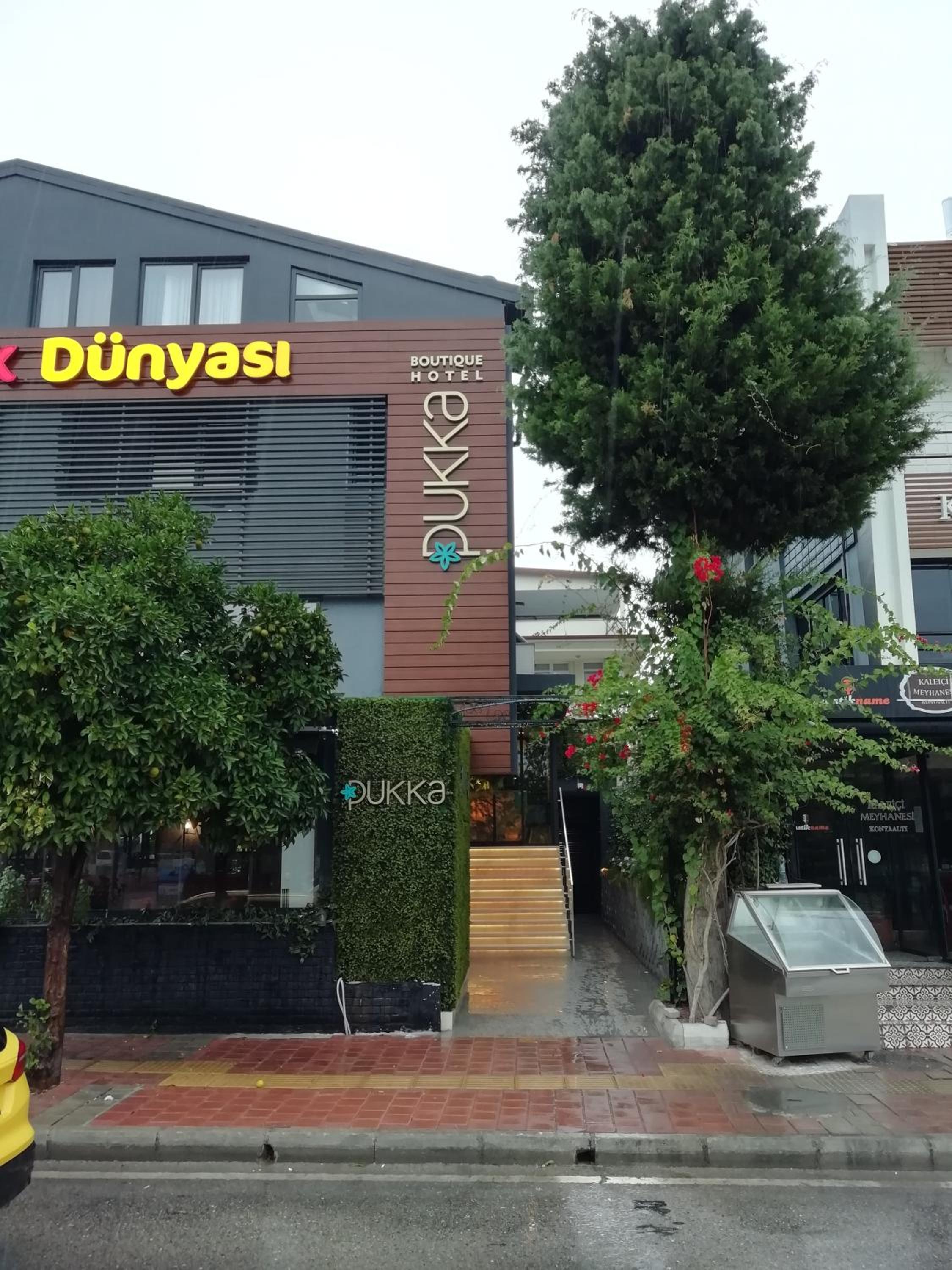 Pukka Hotel - Image 7