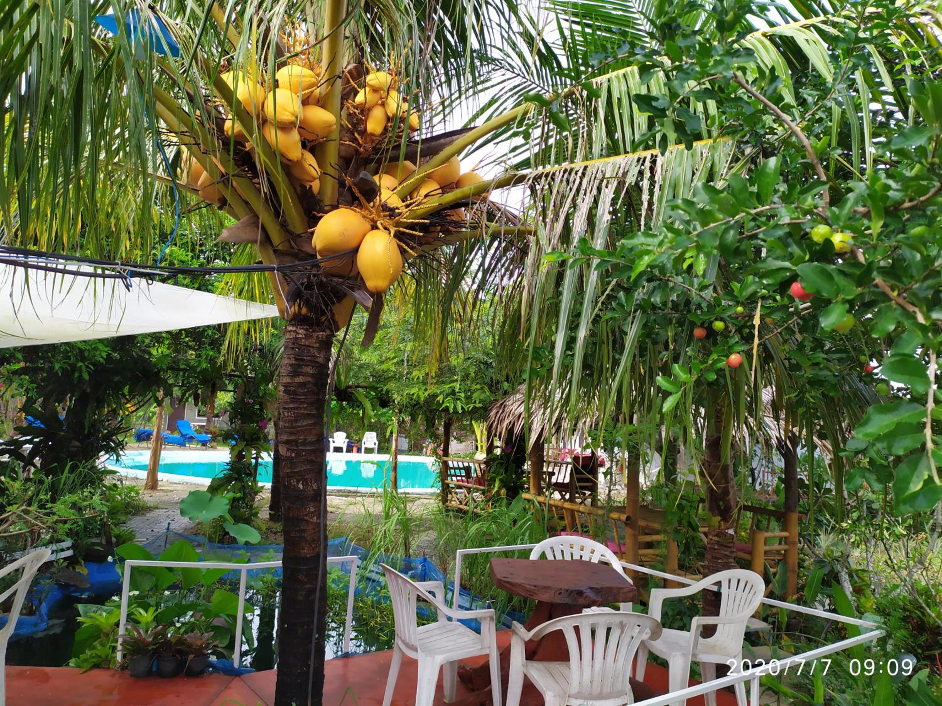 OASIS Phuket Airport