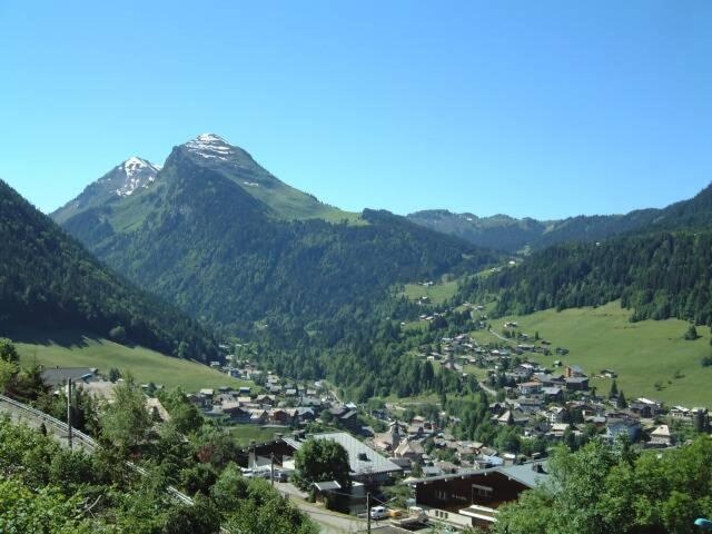 Photo 24