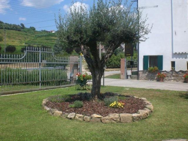 Photo 45