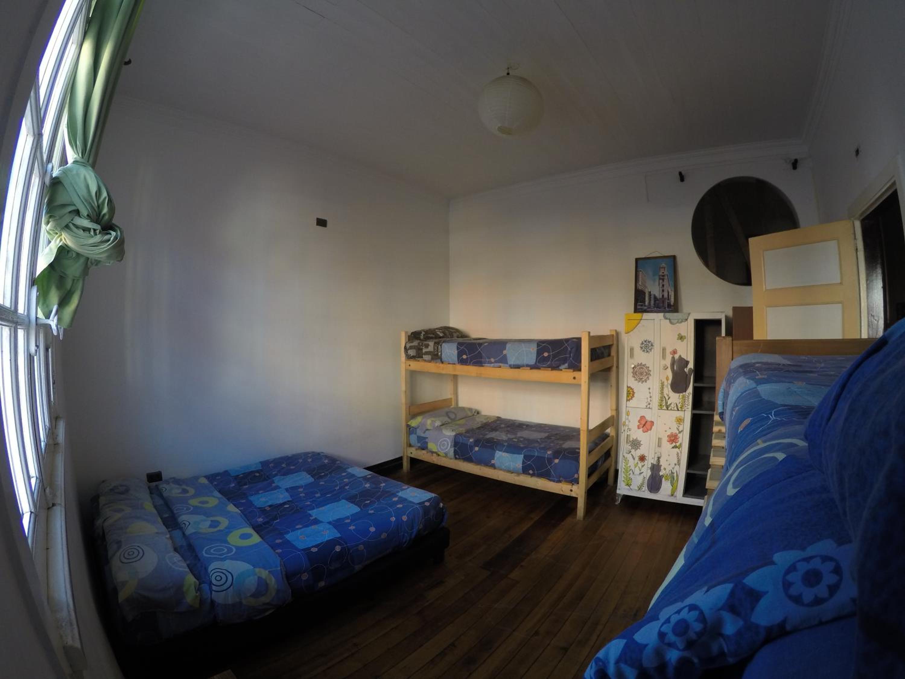 Lemuria Hostel