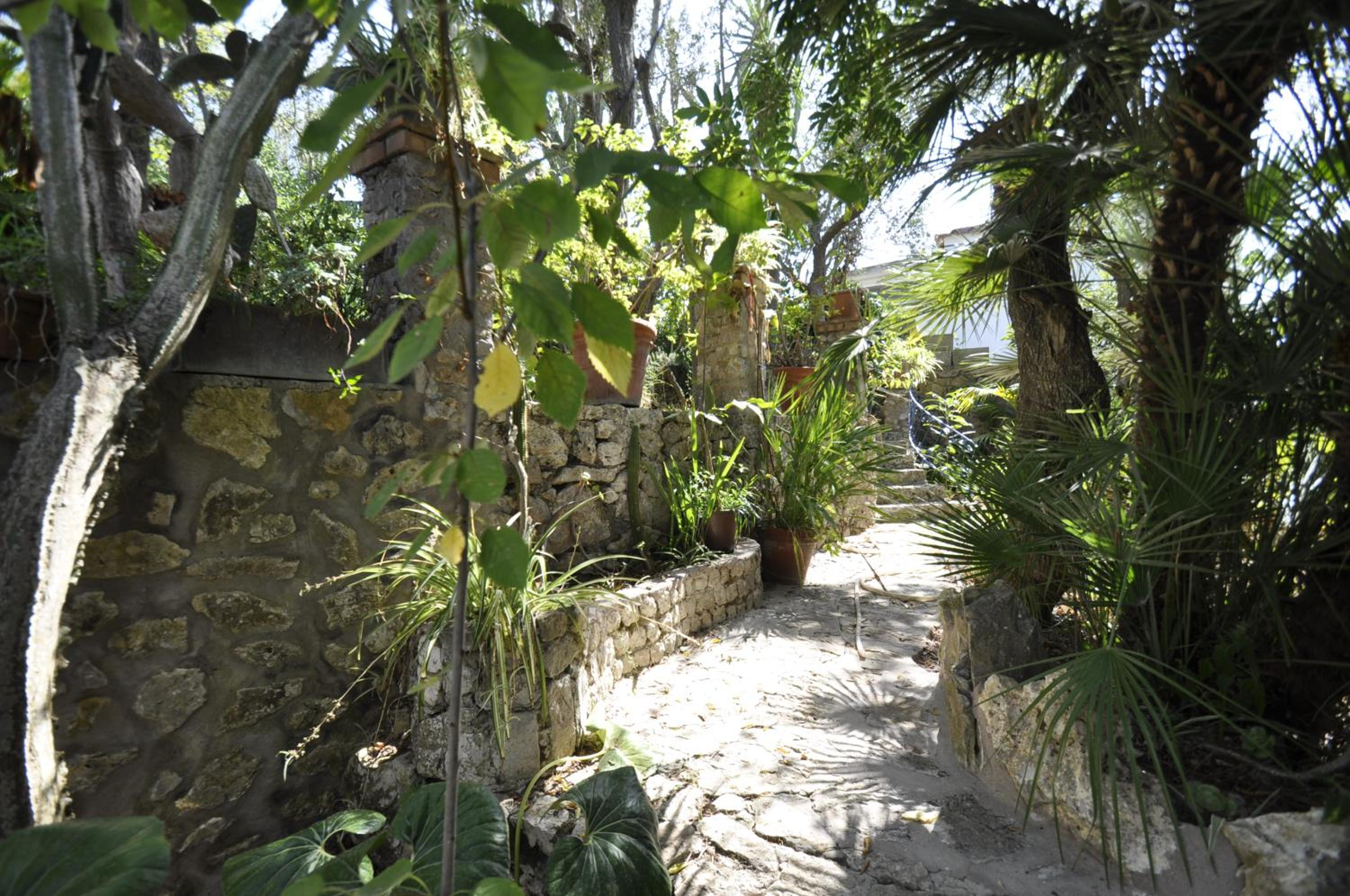 garden
