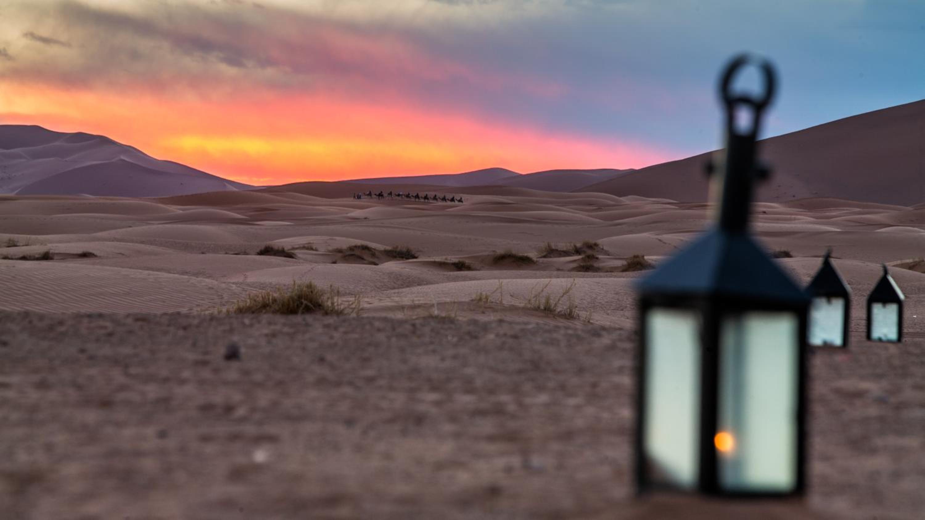 Madu Luxury Desert Camp - Image 5