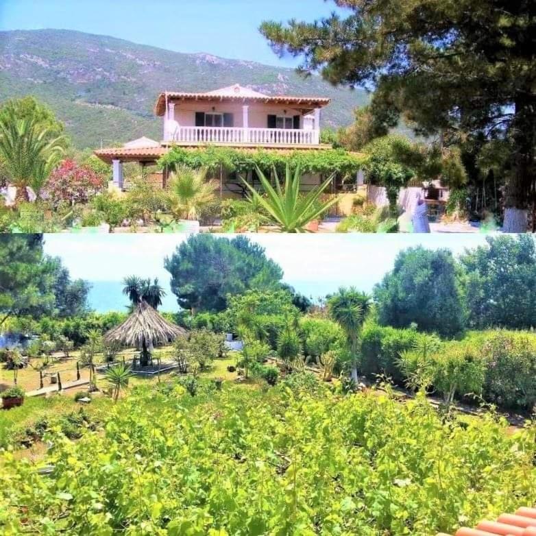 TETRAKTYS ESTATE beachside seaview 3 bedrooms Αήρ