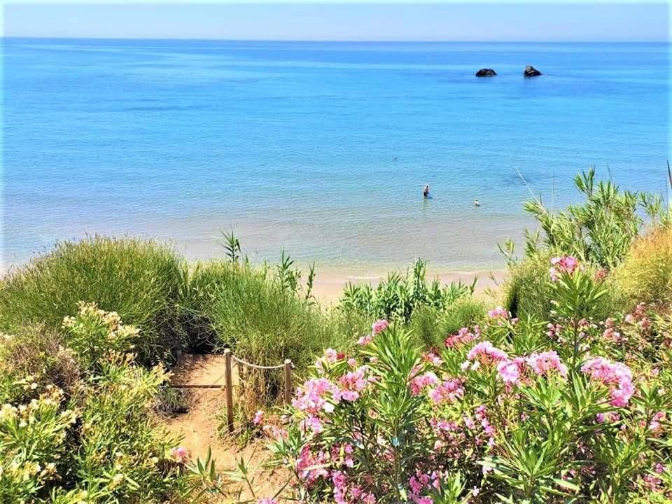 TETRAKTYS ESTATE beachside seaview 3 bedrooms Αήρ