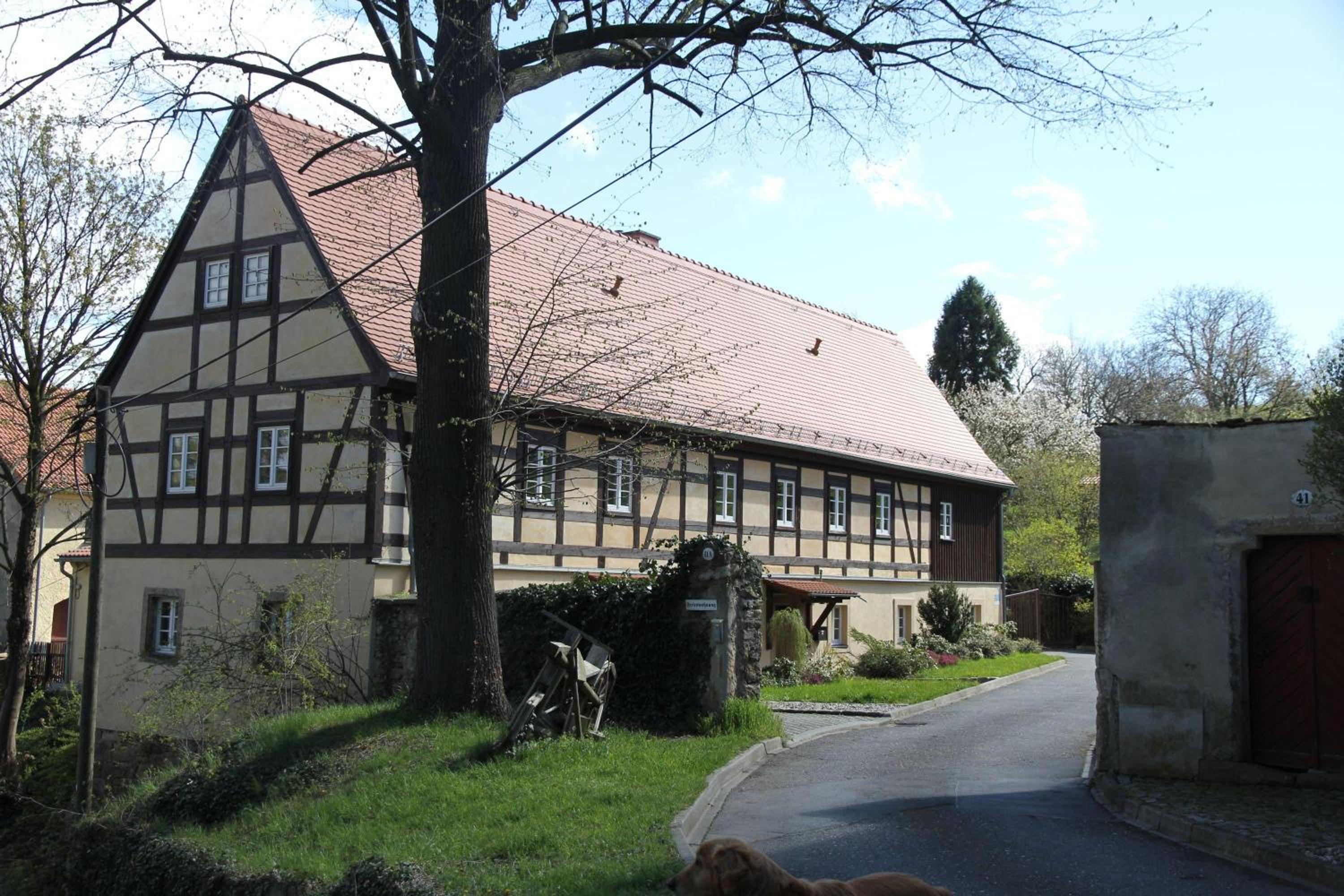 Photo 15