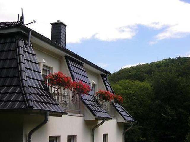 Weisses-Haus-am-Kurpark-Fewo-Waldblick