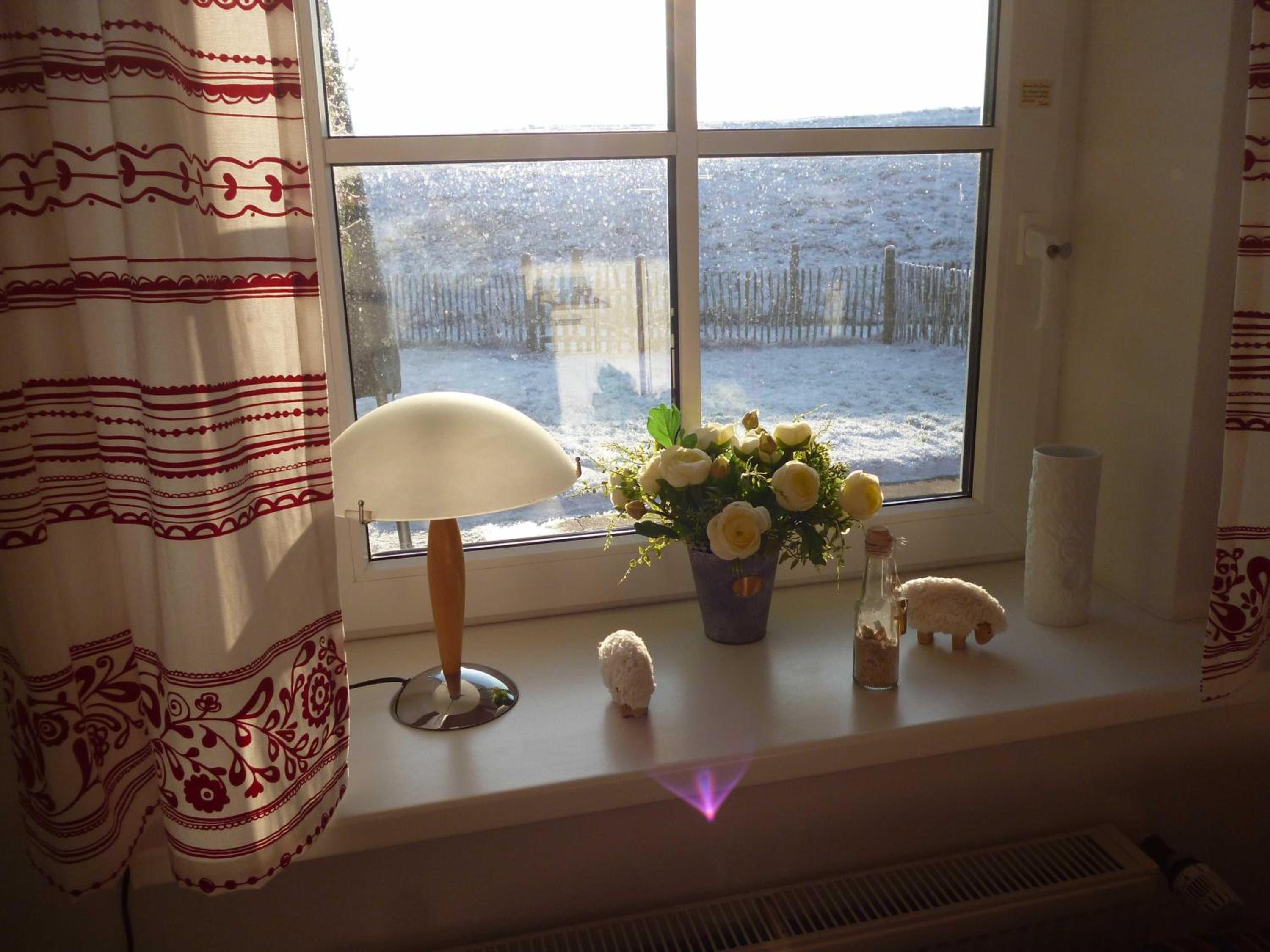 Graugans, photo 21