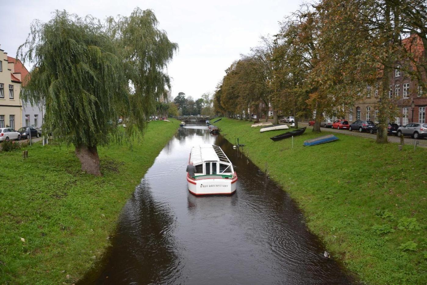 Graugans en Tönning