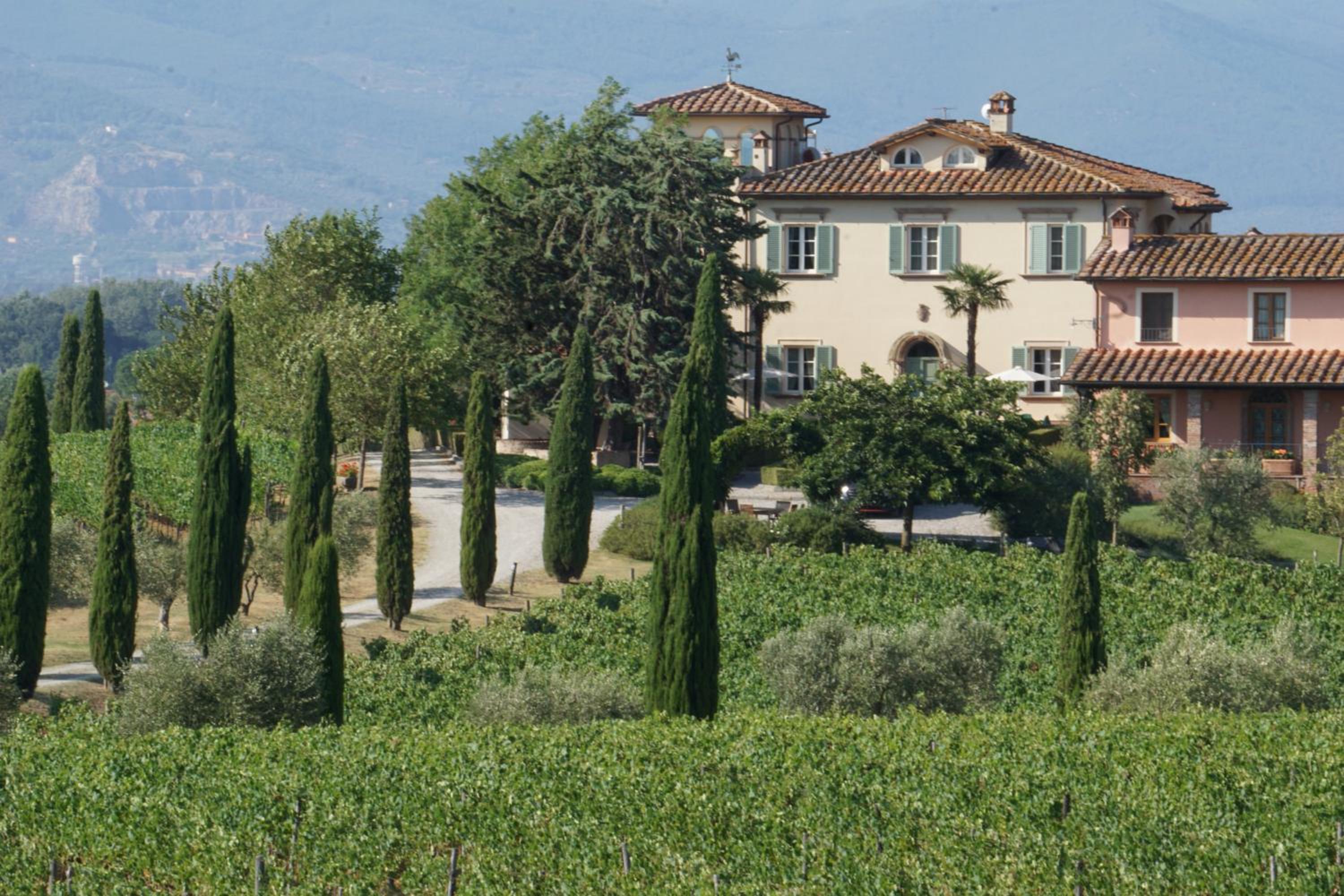 Poggio al Casone view 5