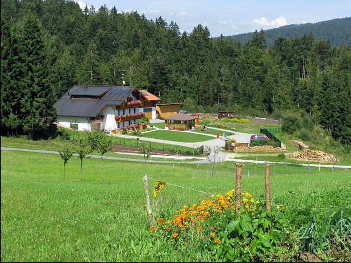 Haus-Spannbauer-Wohnung-Fuchsenstein view 5