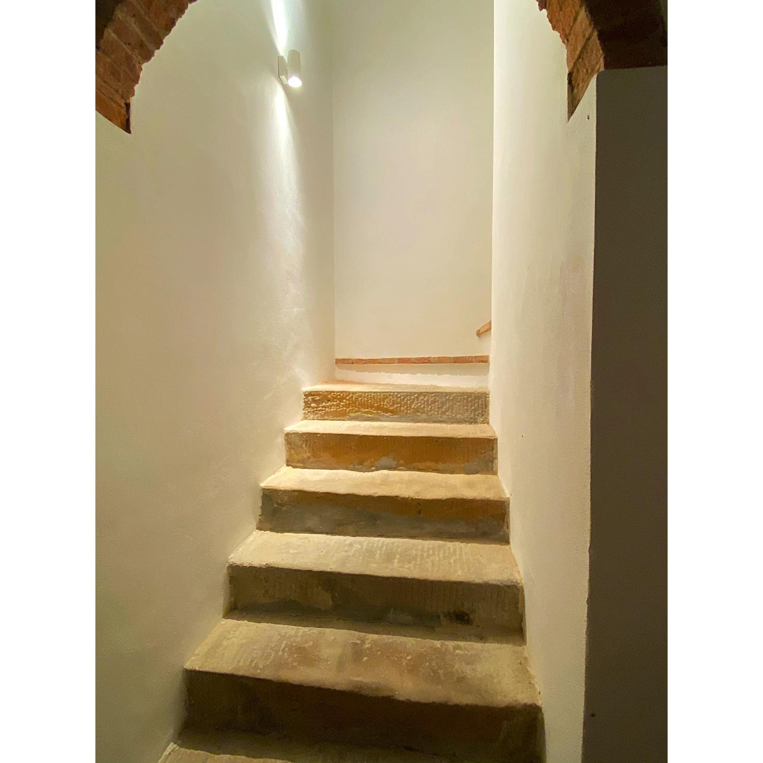 Photo 53