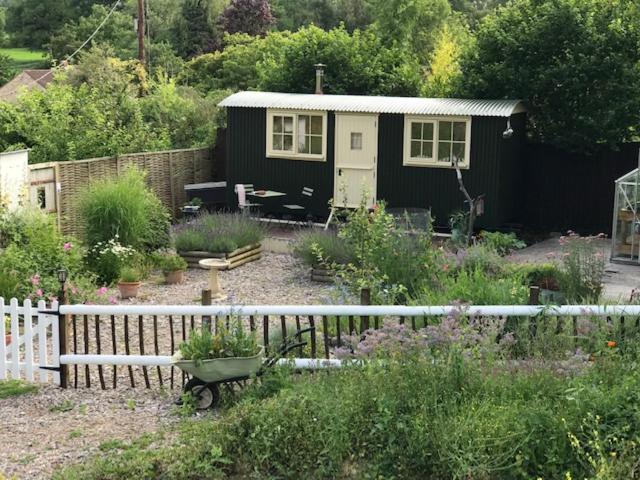 Glamping on the Hill